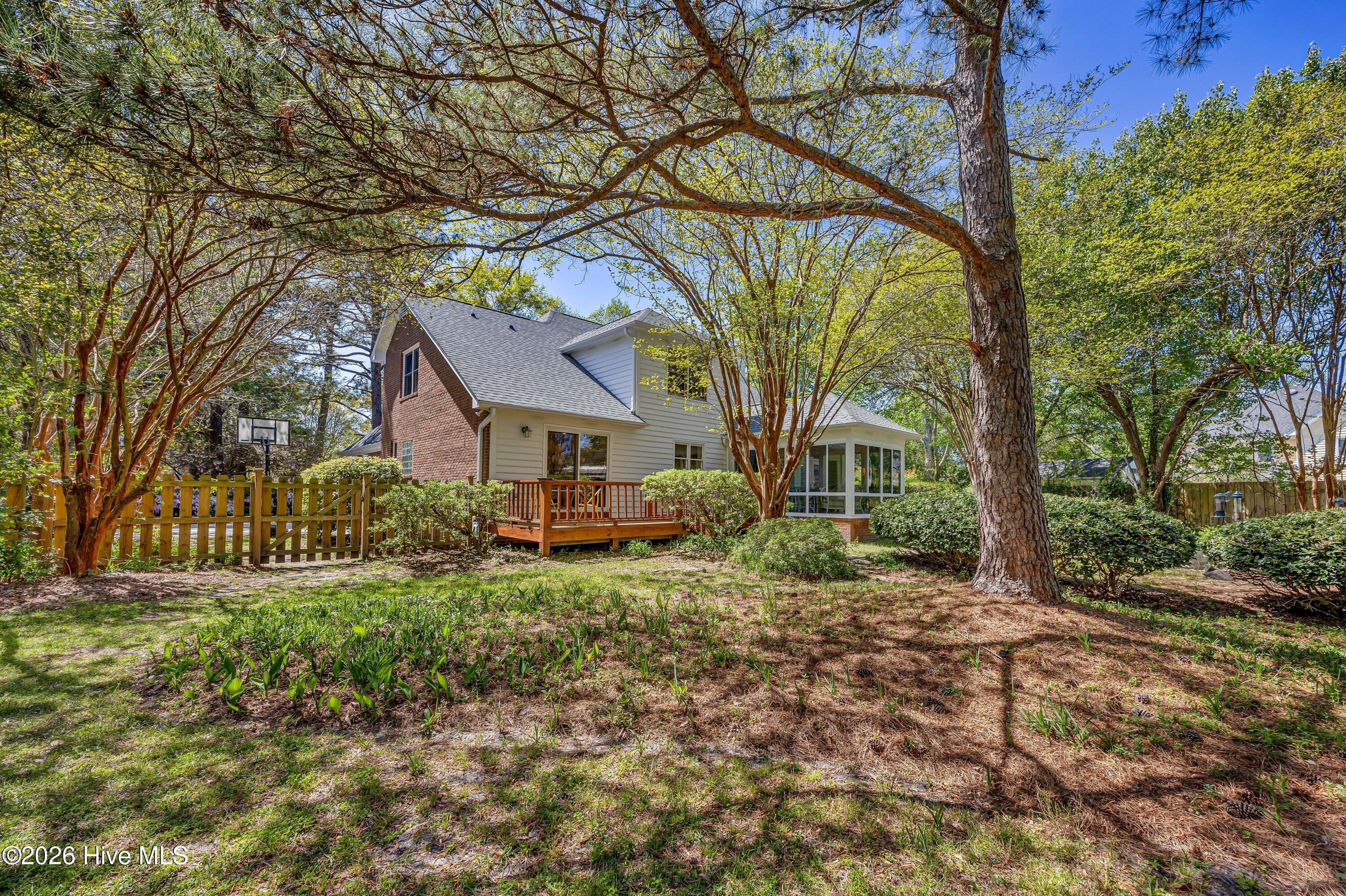 100566684 | Photo 47