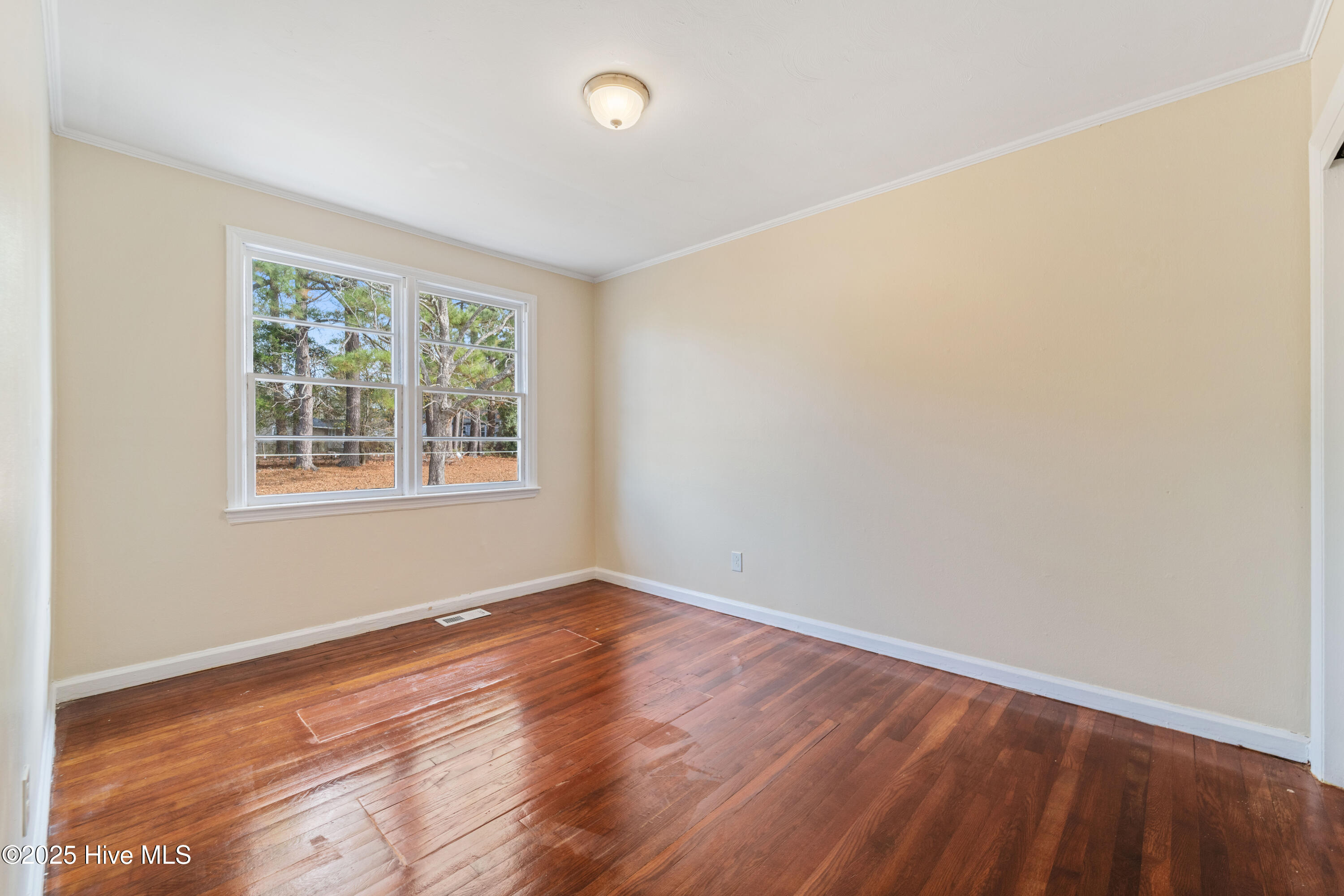 100543711 | Photo 10