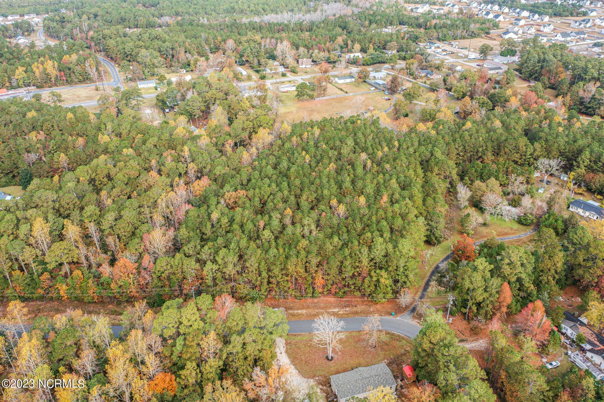 100415479 | Photo 10