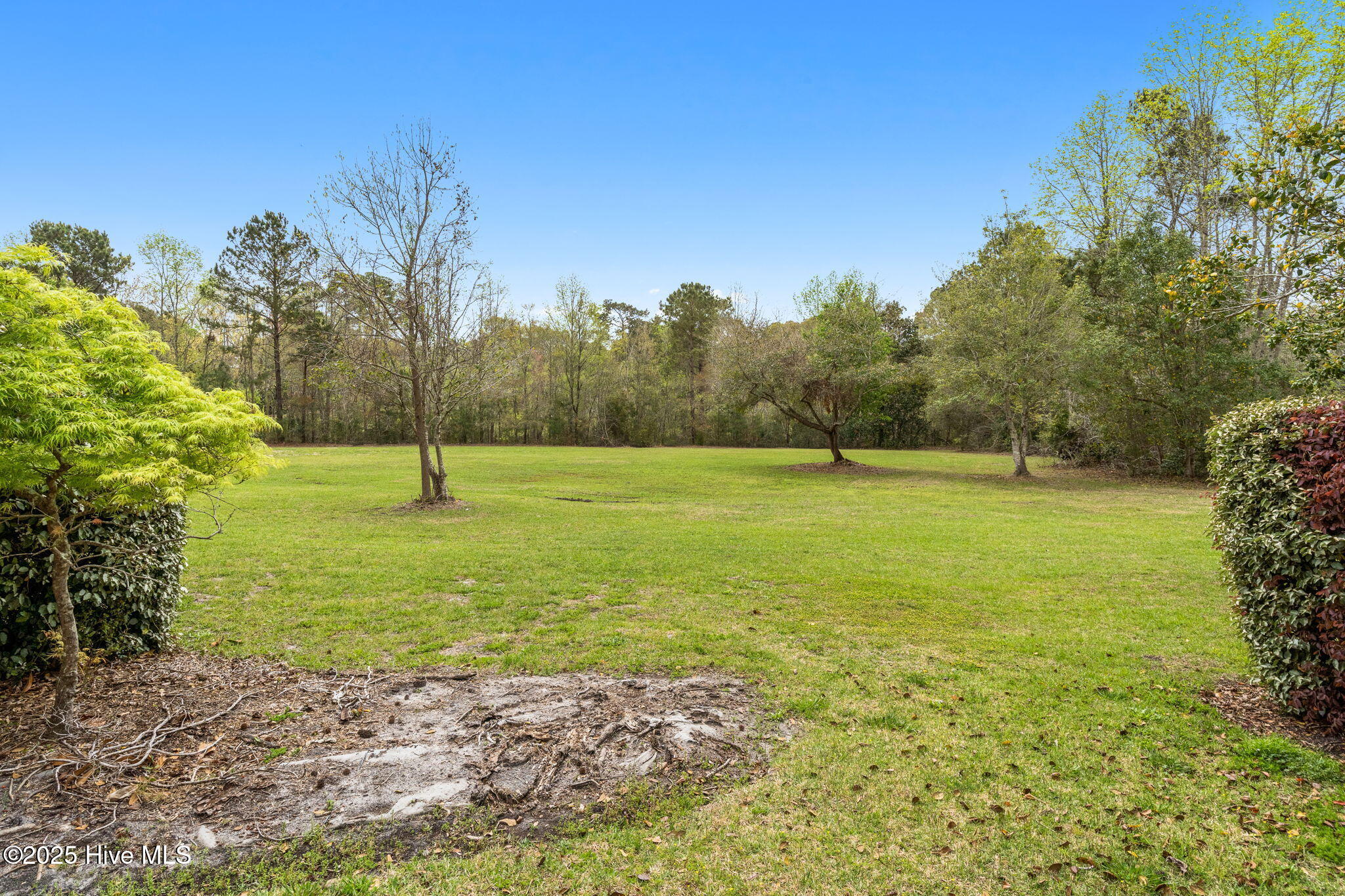 100550384 | Photo 43