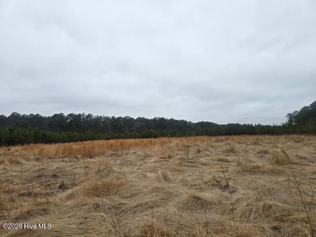 Homes for sale in Robersonville, NC | 1334 Meeks Rd, Robersonville, NC 27871 | MLS# 100557778