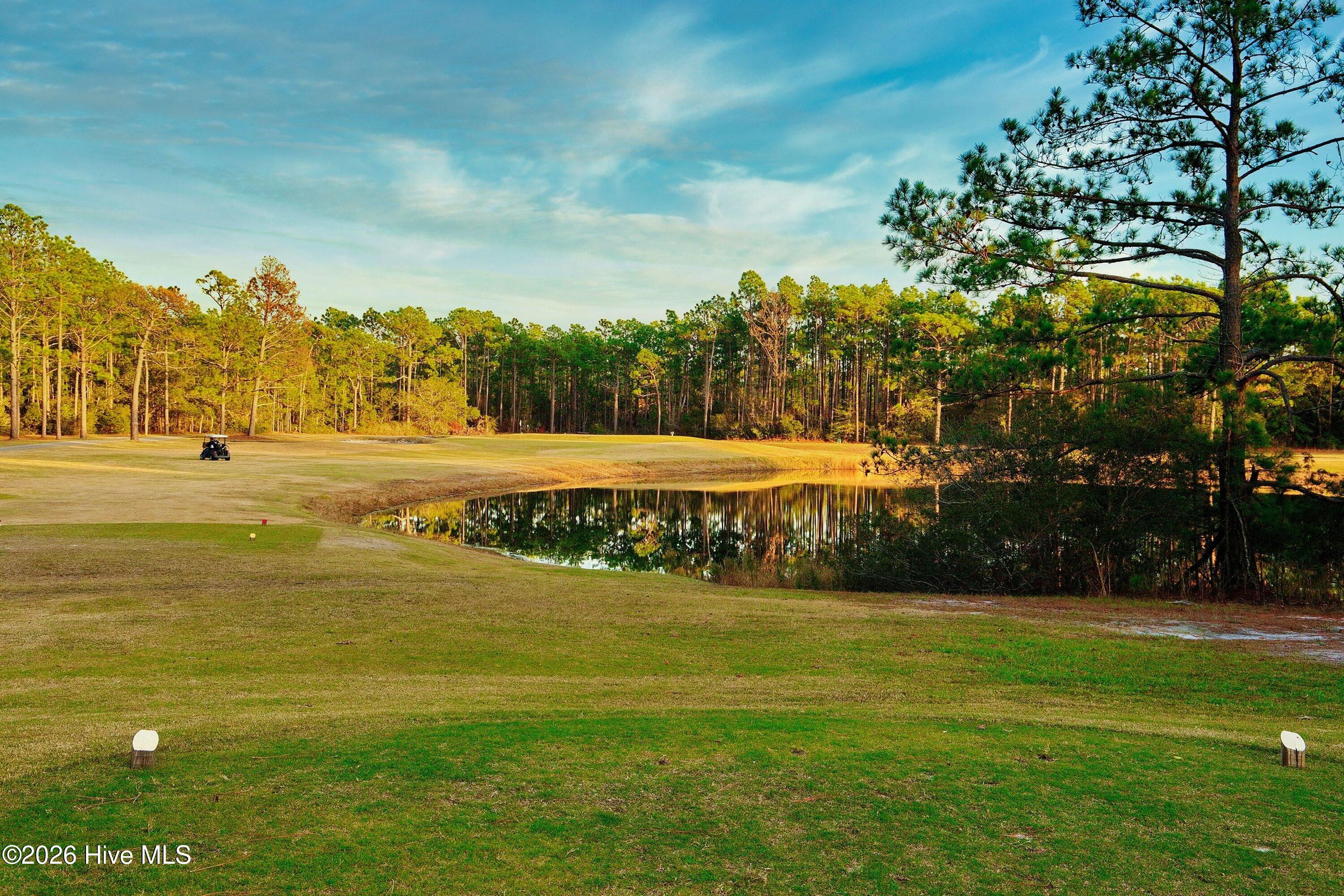 100565708 | Photo 40