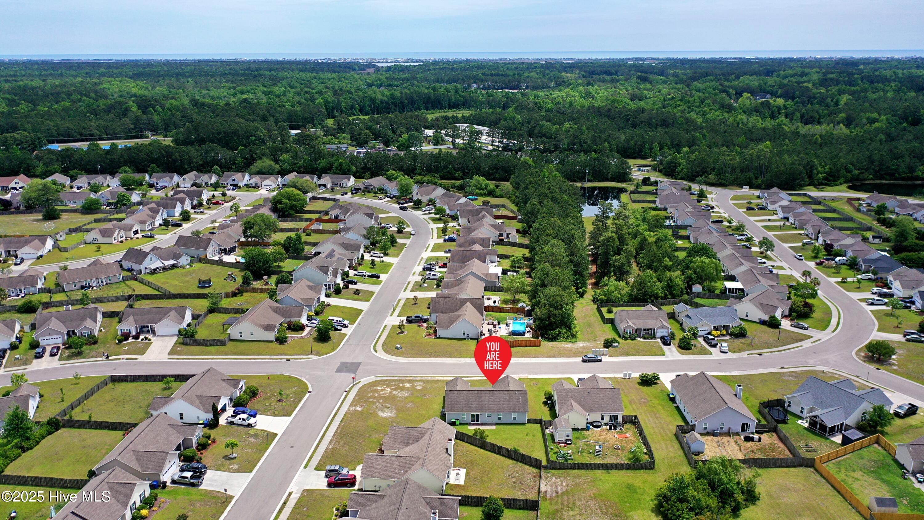 100506631 | Photo 33