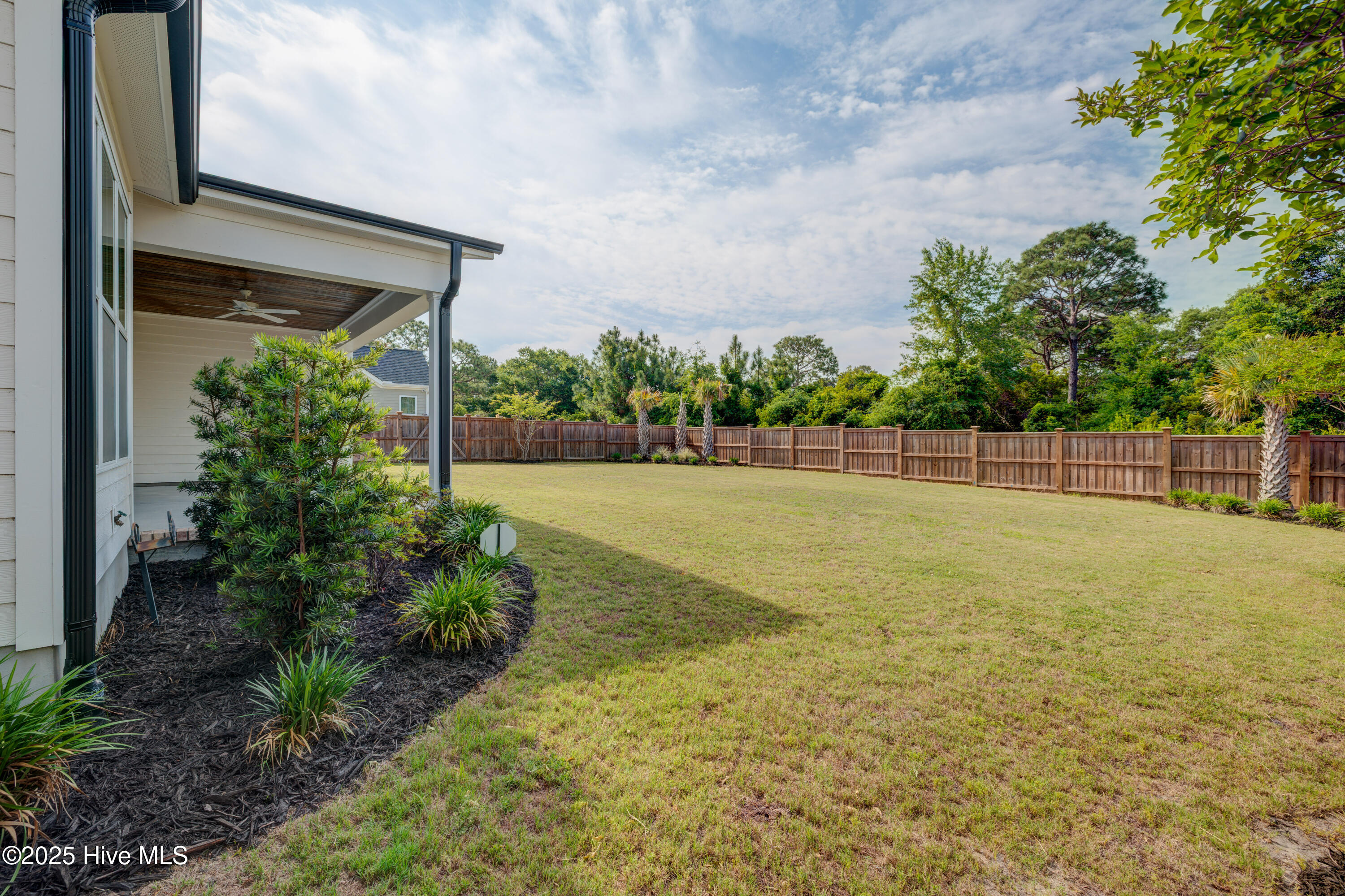 100553417 | Photo 62