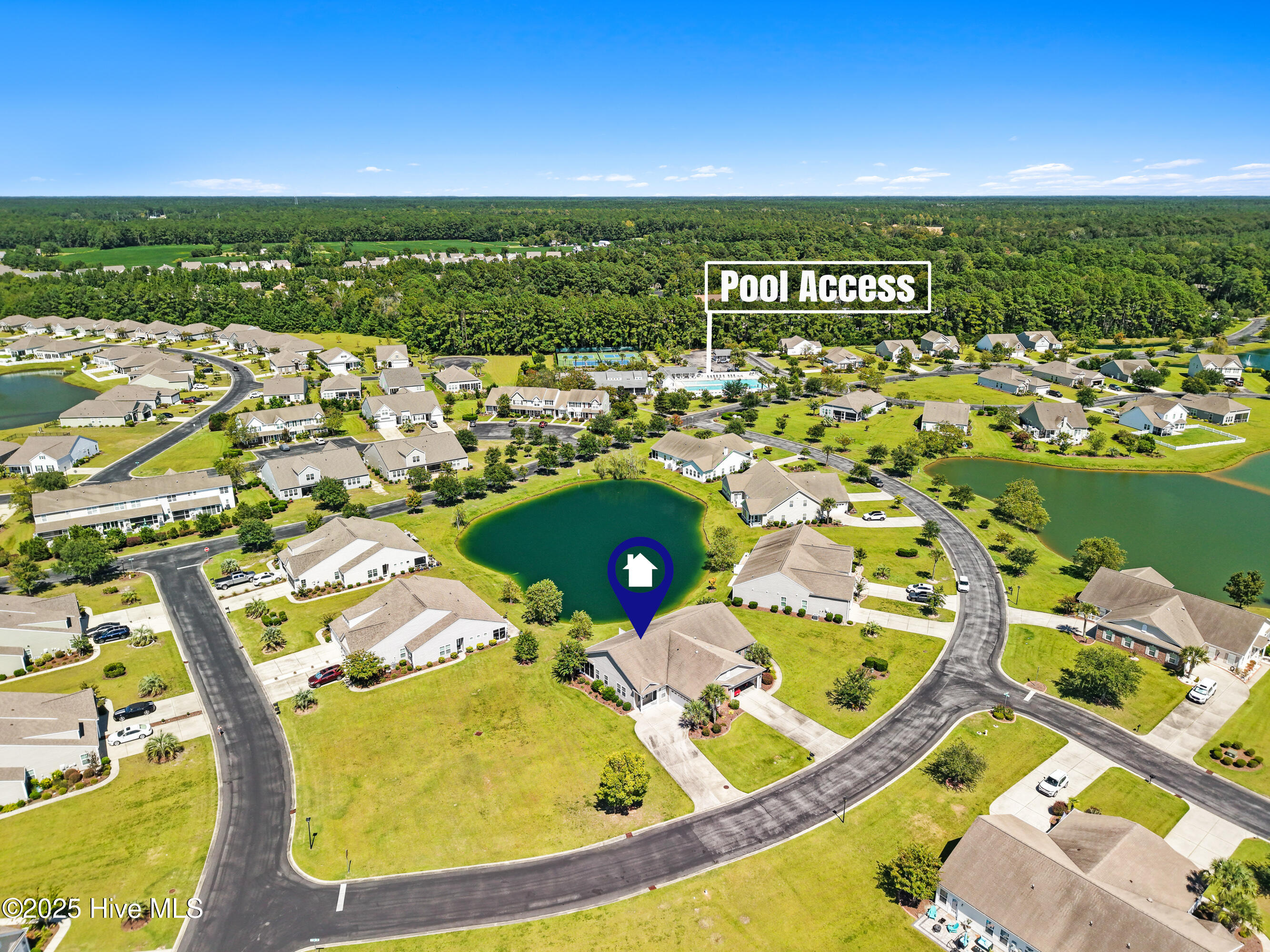 100529501 | Photo 34