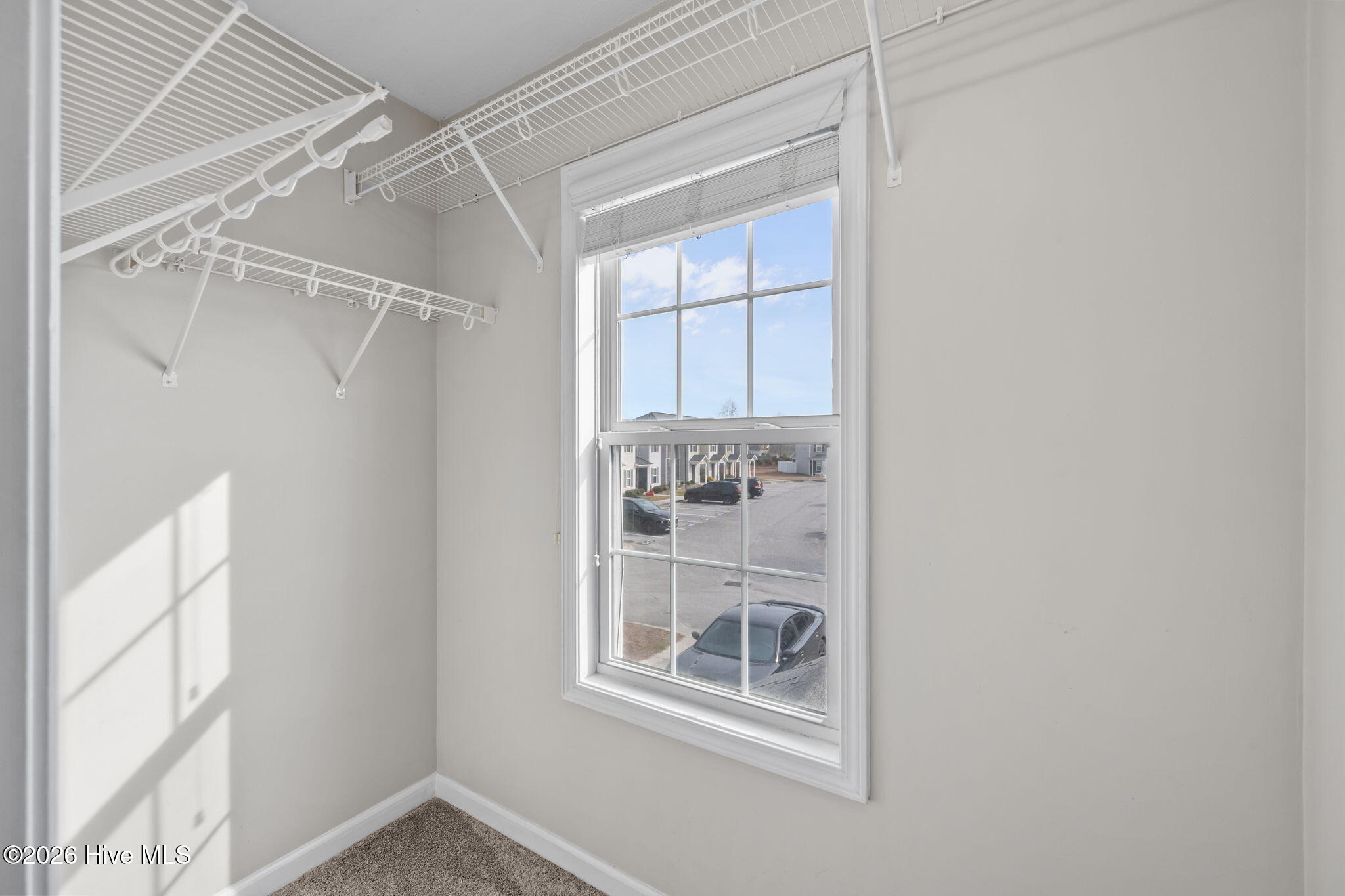 100549105 | Photo 28