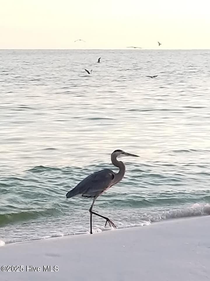 100551288 | Photo 48