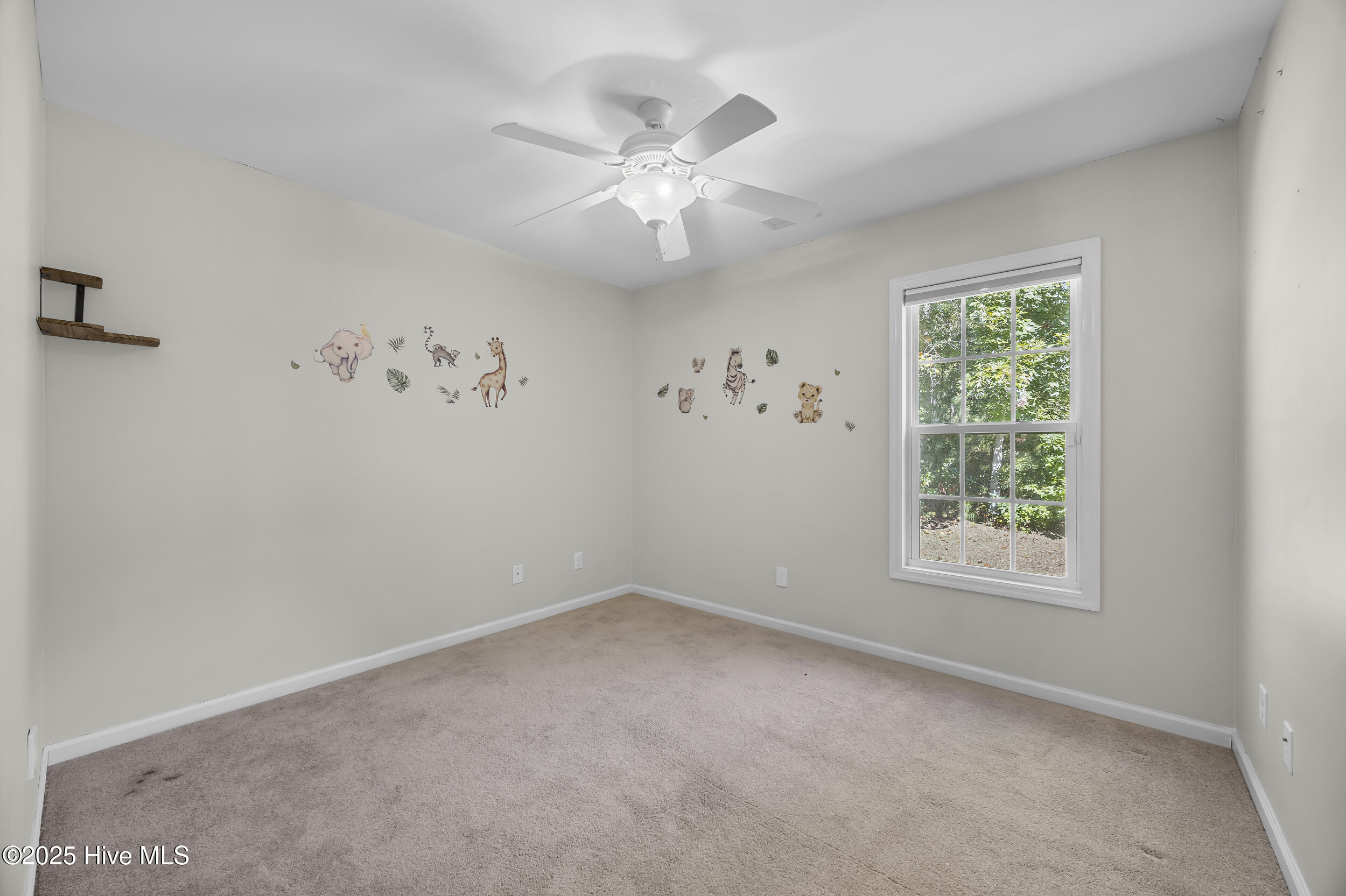 100533405 | Photo 24