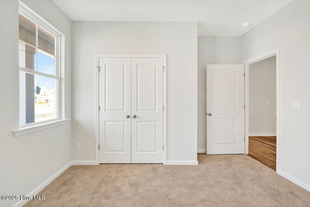 100528911 | Photo 19