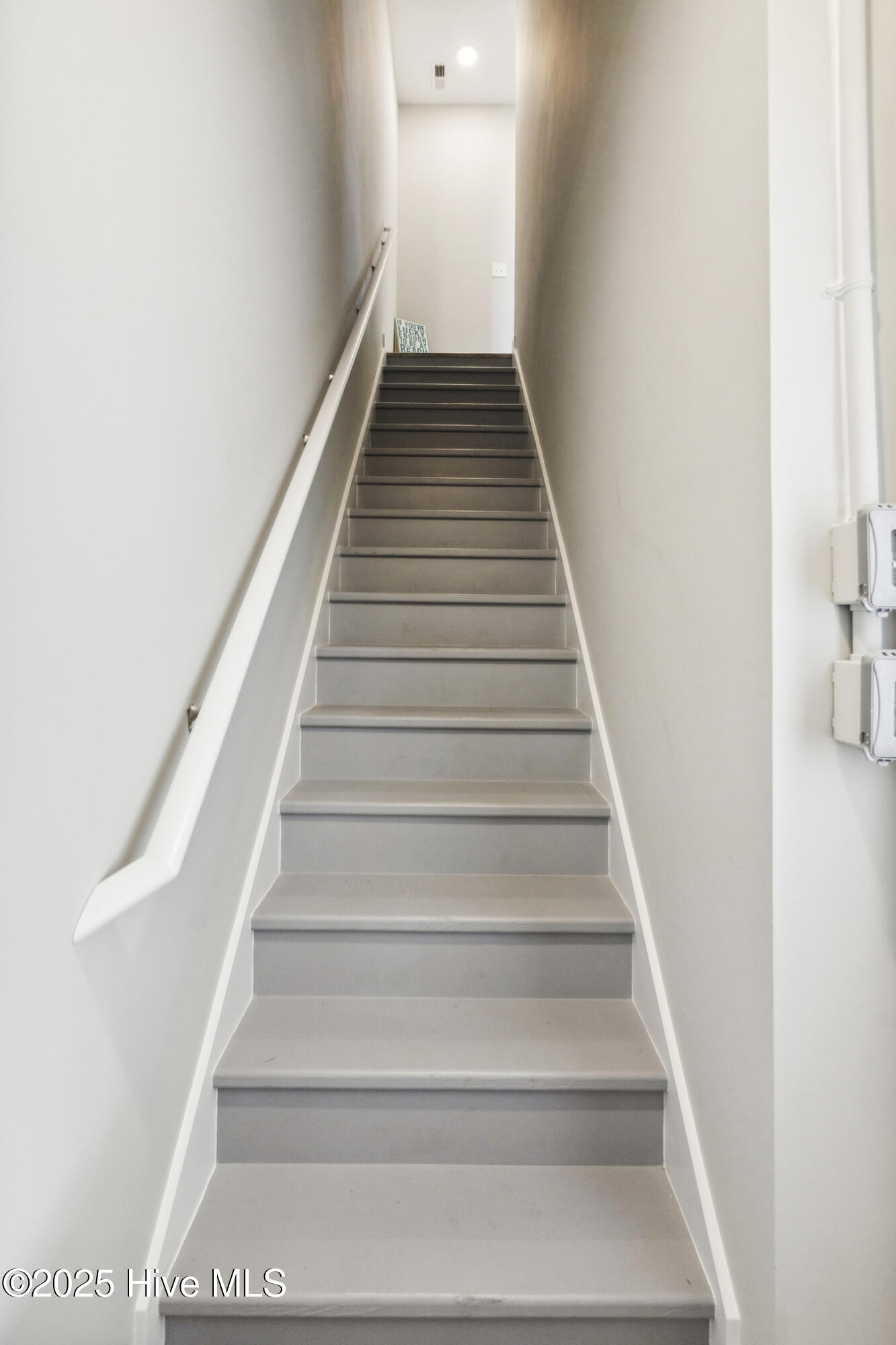 100509582 | Photo 19