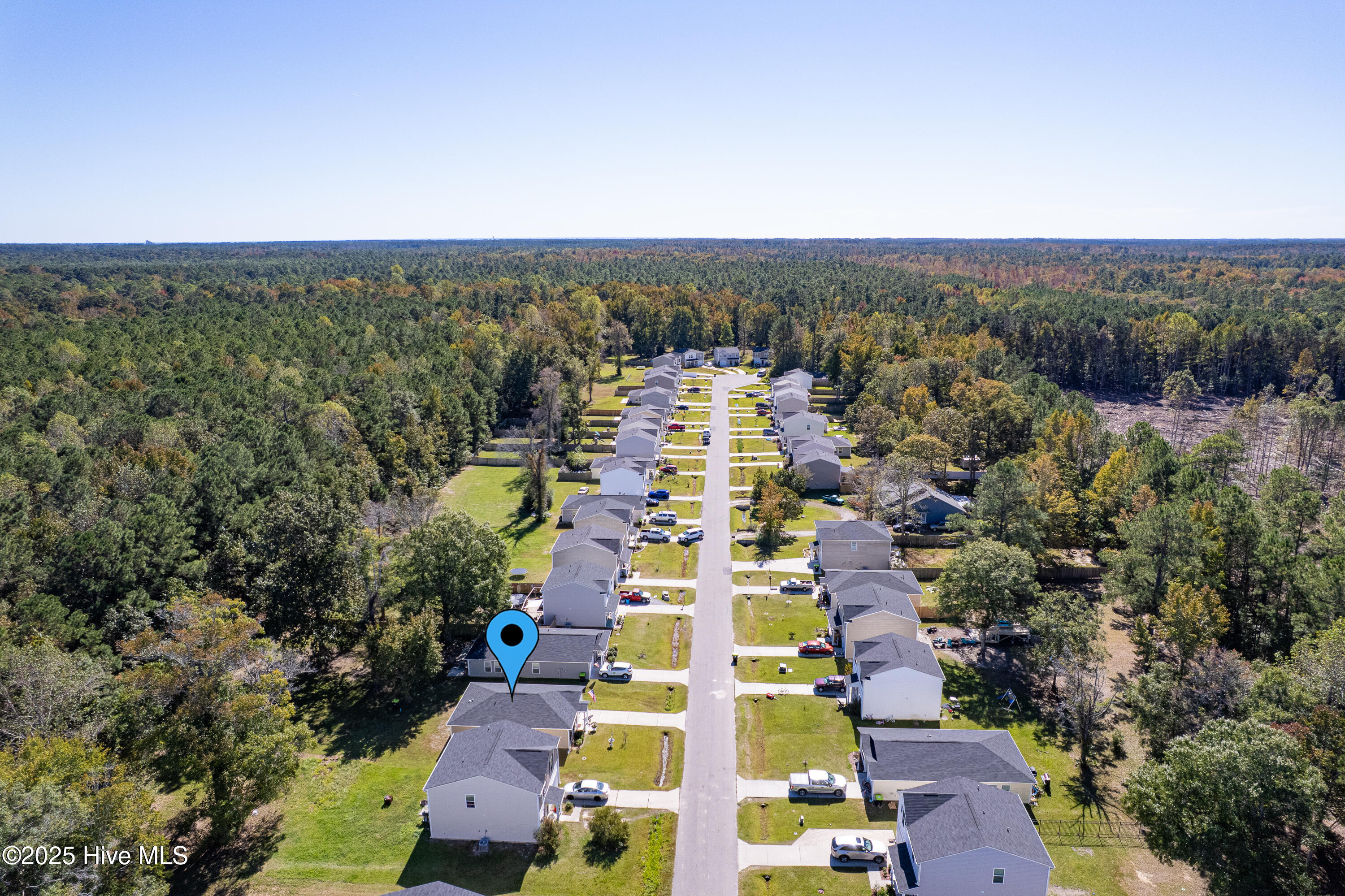 100537906 | Photo 34