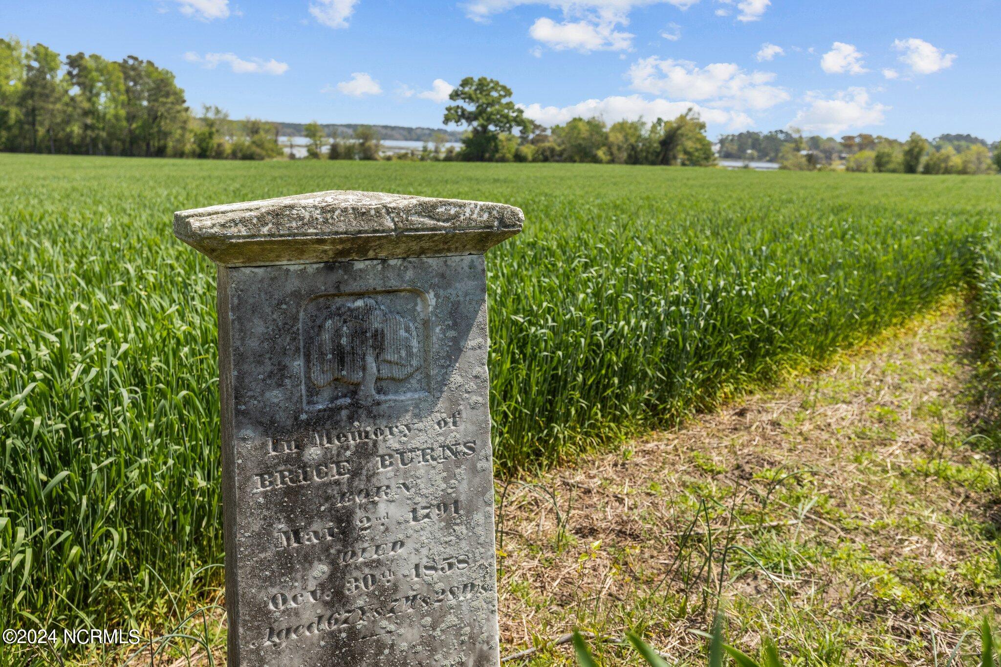 100542298 | Photo 29