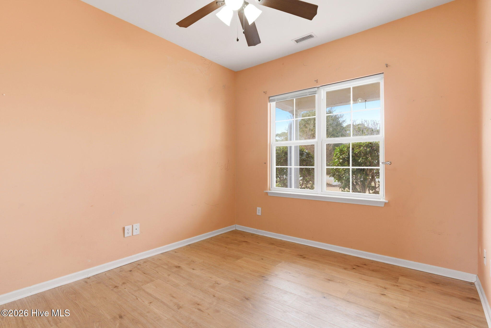 100556646 | Photo 29