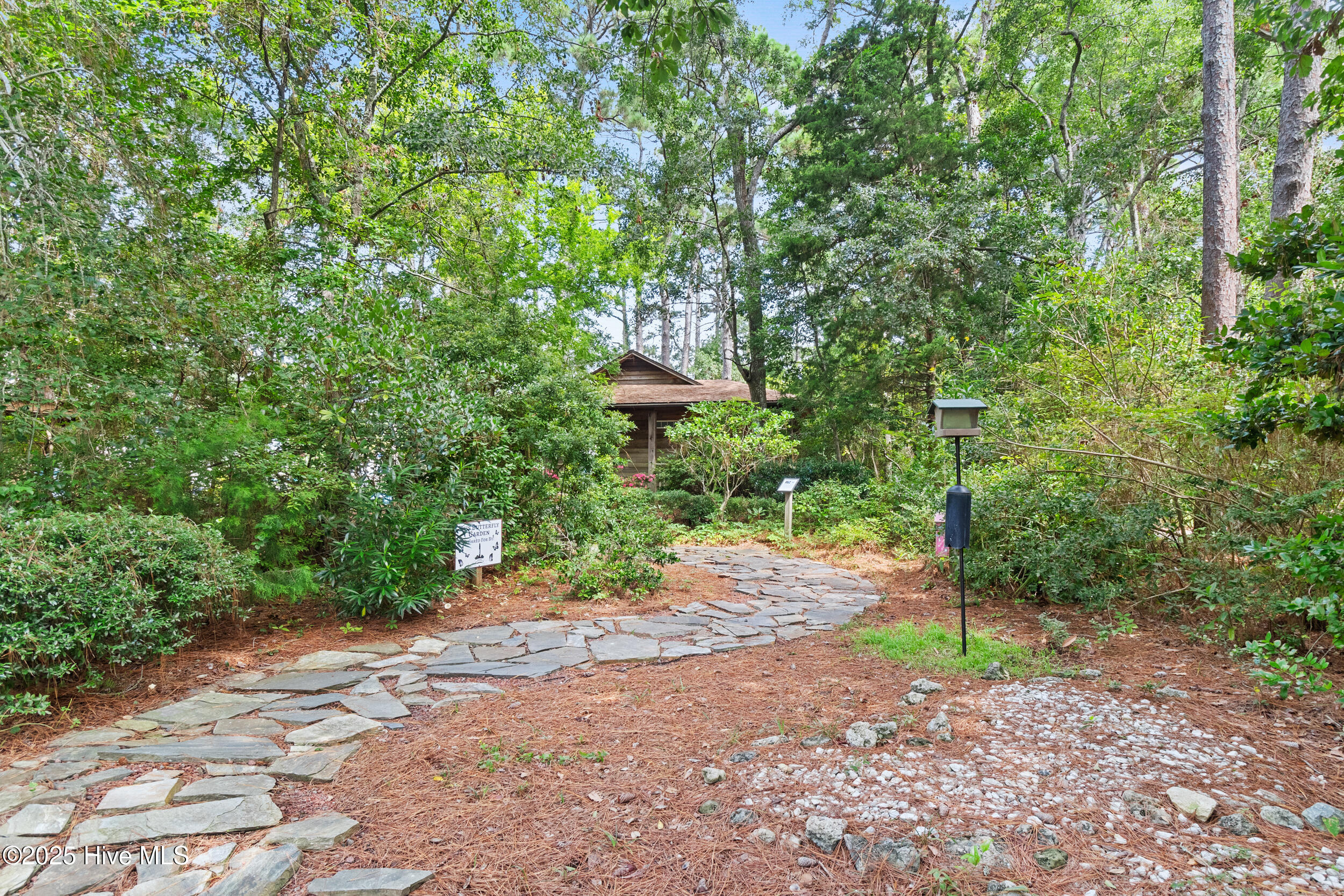 100525296 | Photo 41