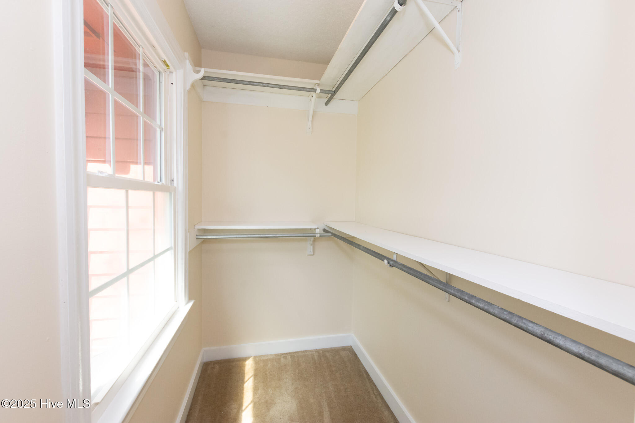 100506266 | Photo 44