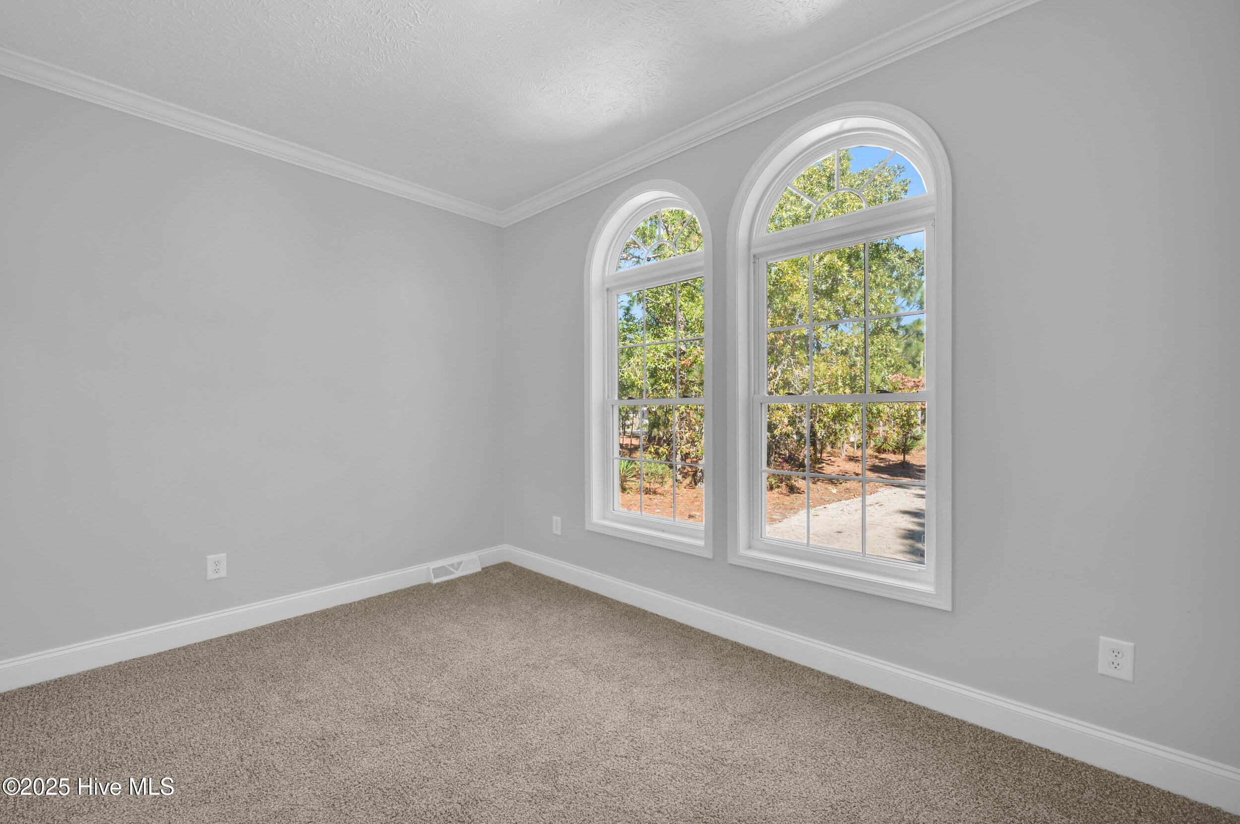 100537986 | Photo 31