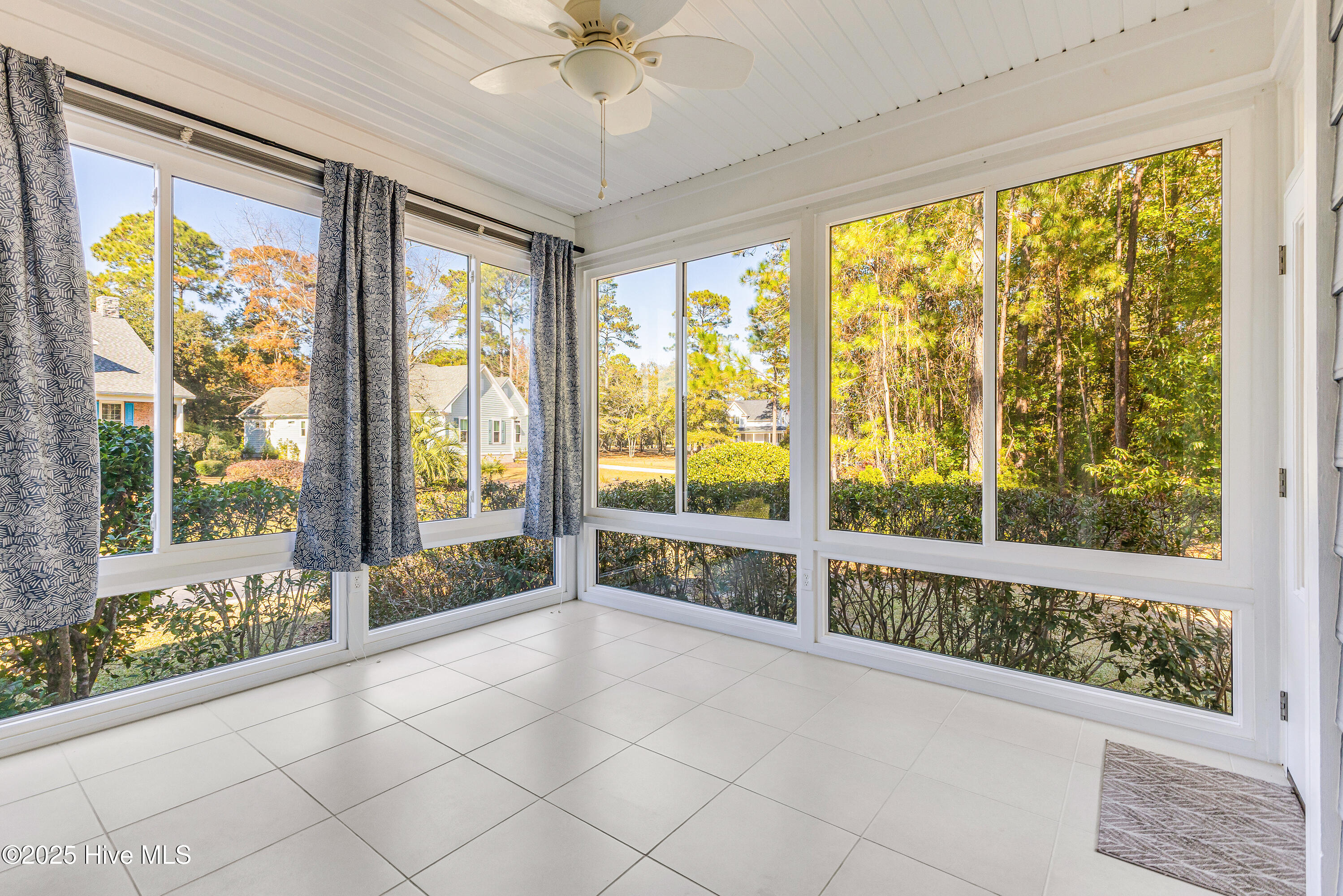 100540524 | Photo 19