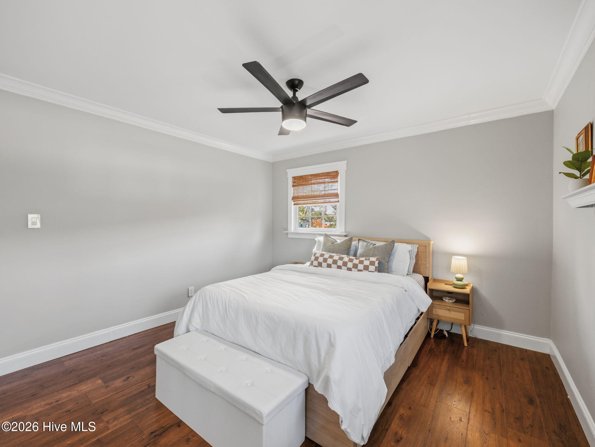 100564380 | Photo 15