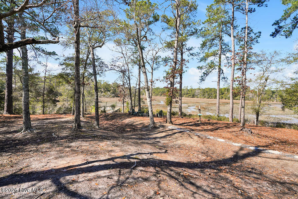 100564190 | Photo 70