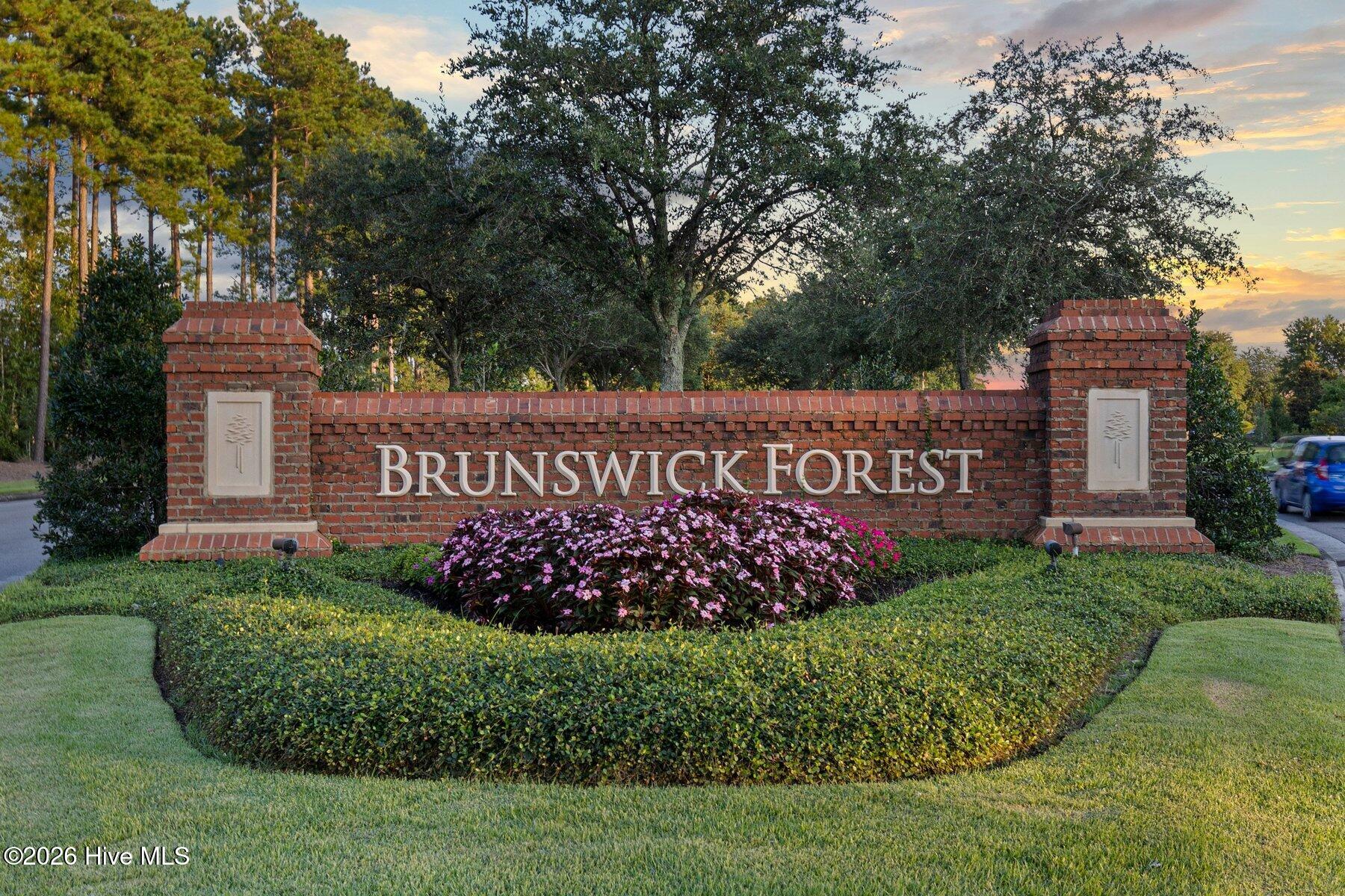 100558018 | Photo 63