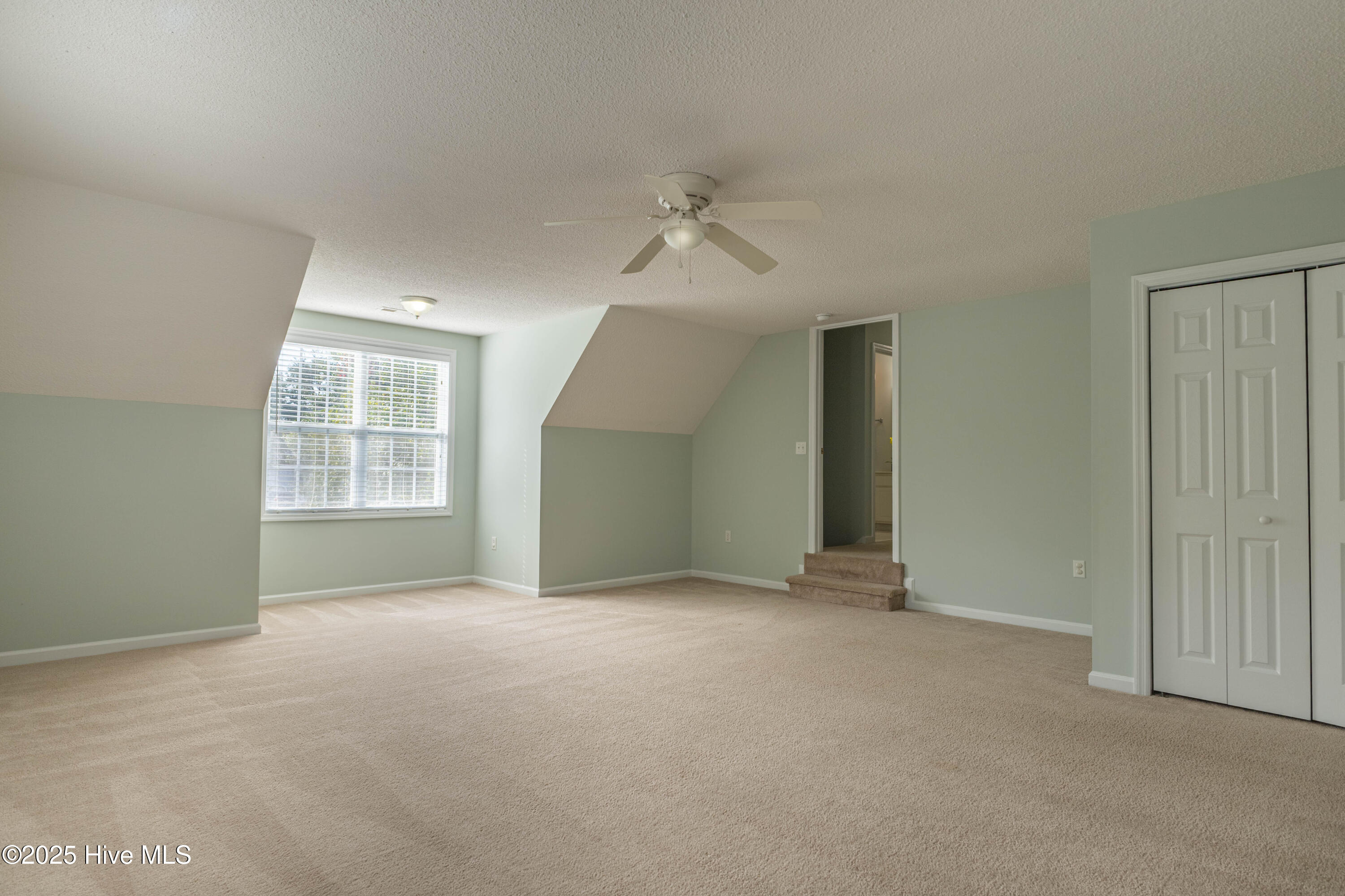 100534088 | Photo 25