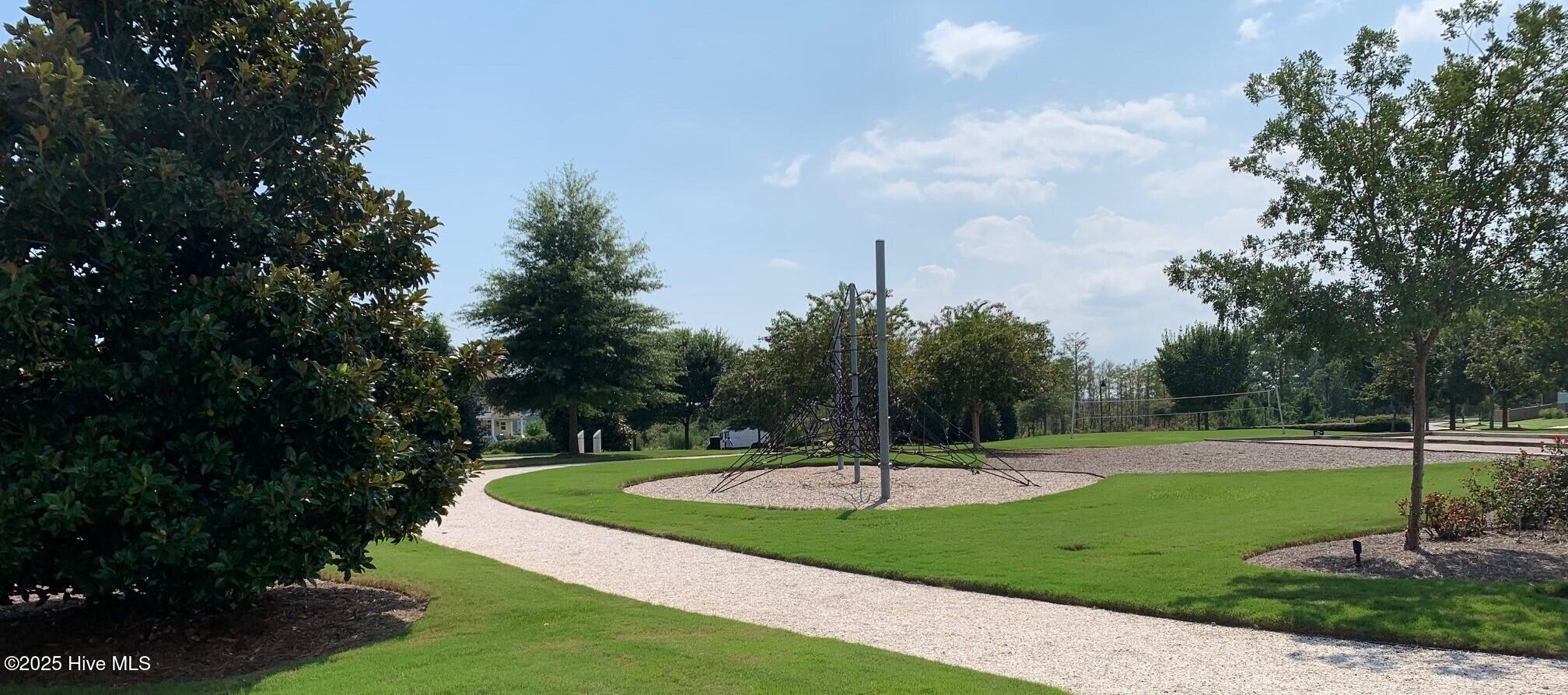 100524366 | Photo 106