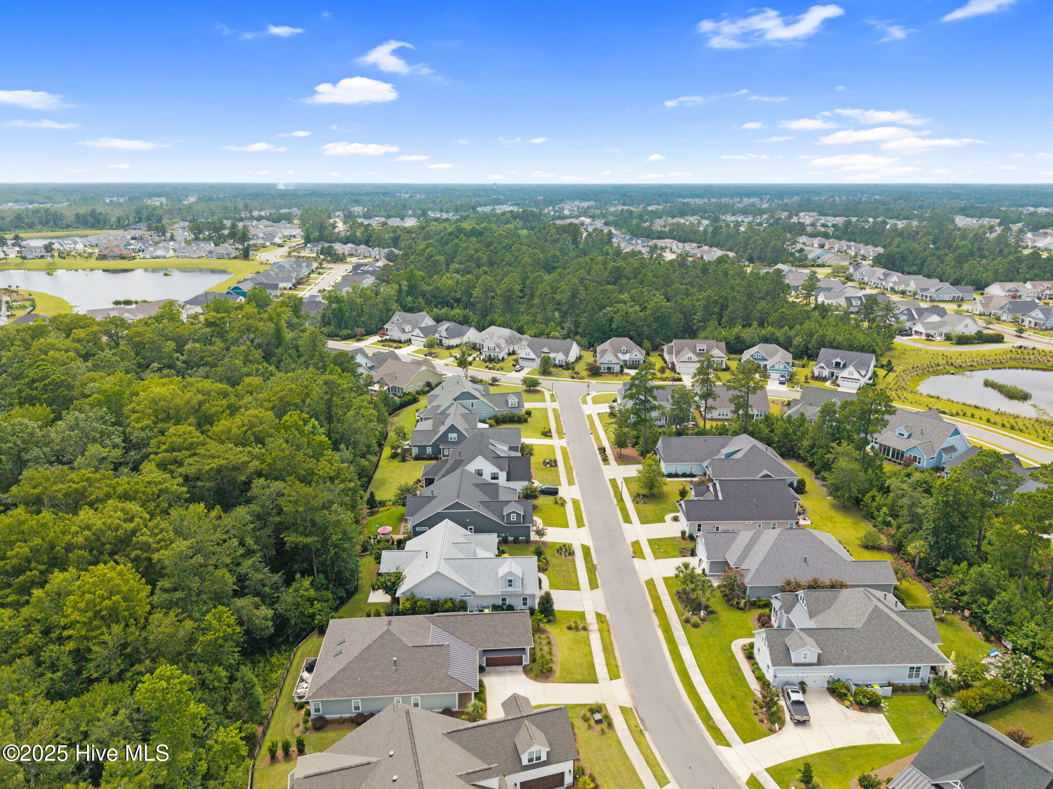 100529487 | Photo 44