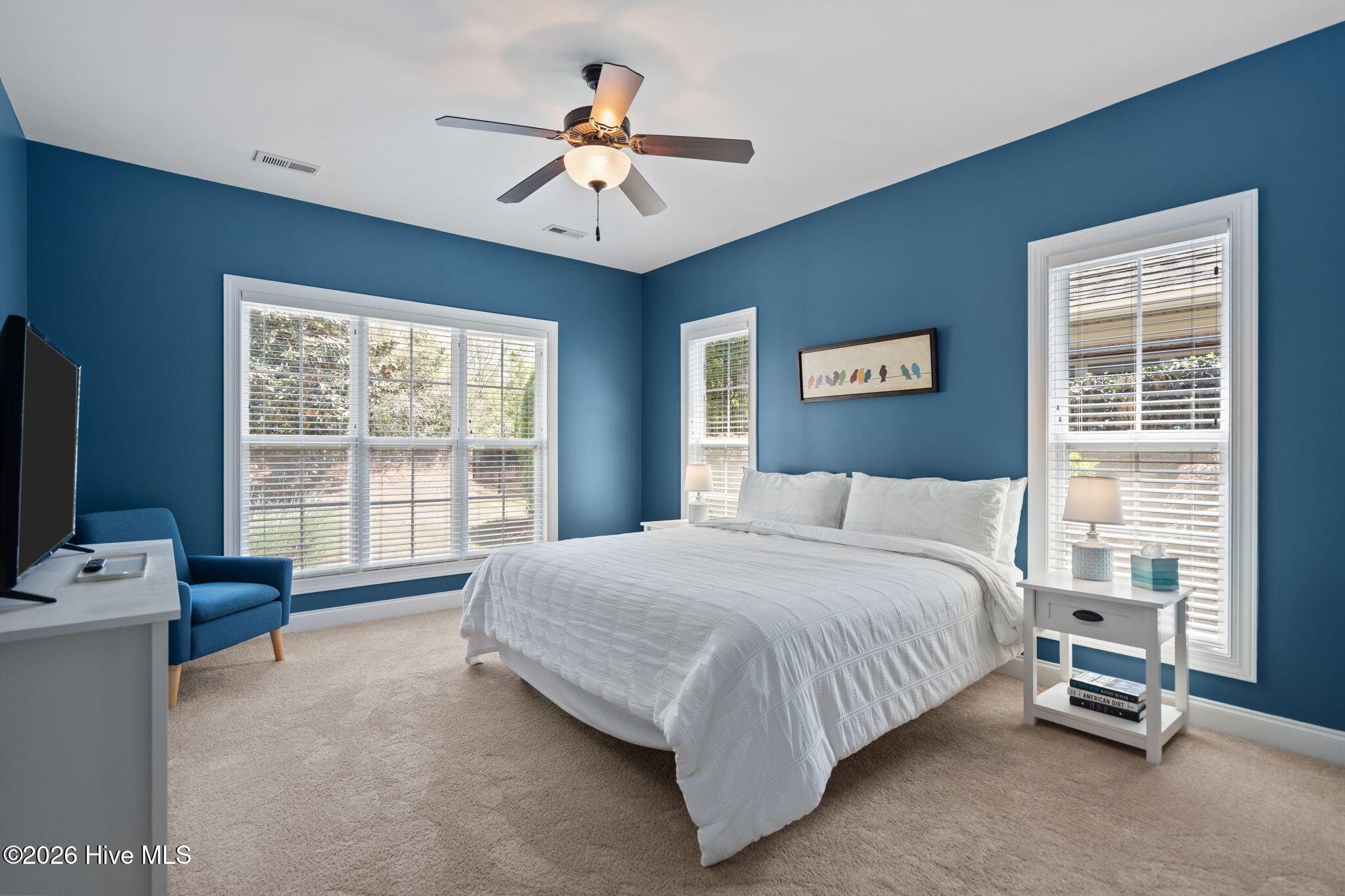 100568496 | Photo 26