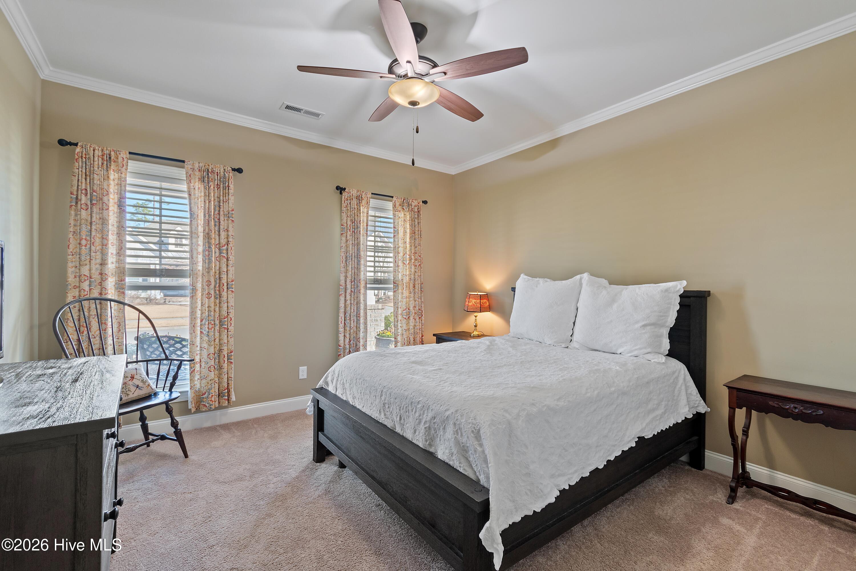 100558419 | Photo 38