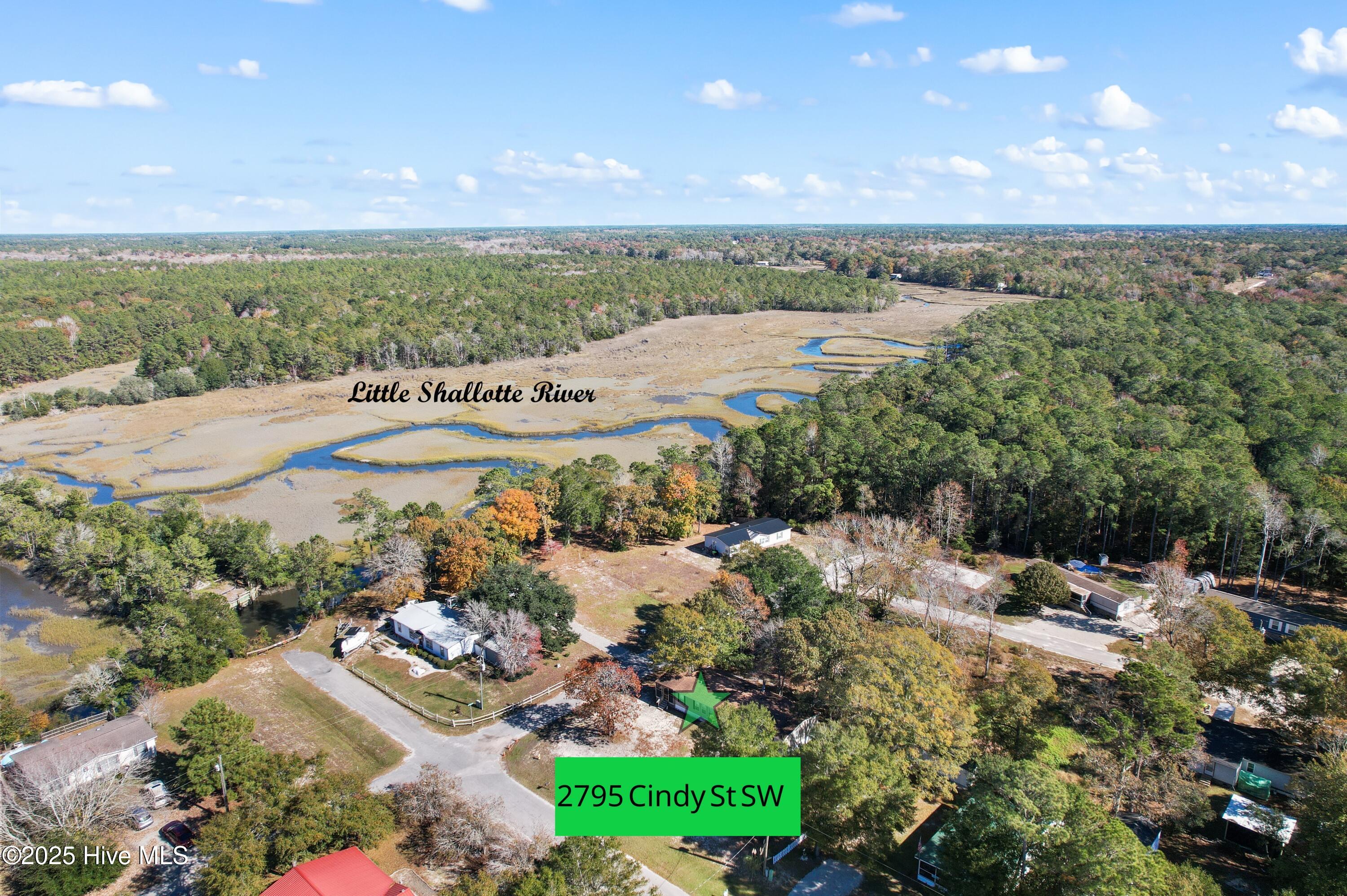 100541148 | Photo 38