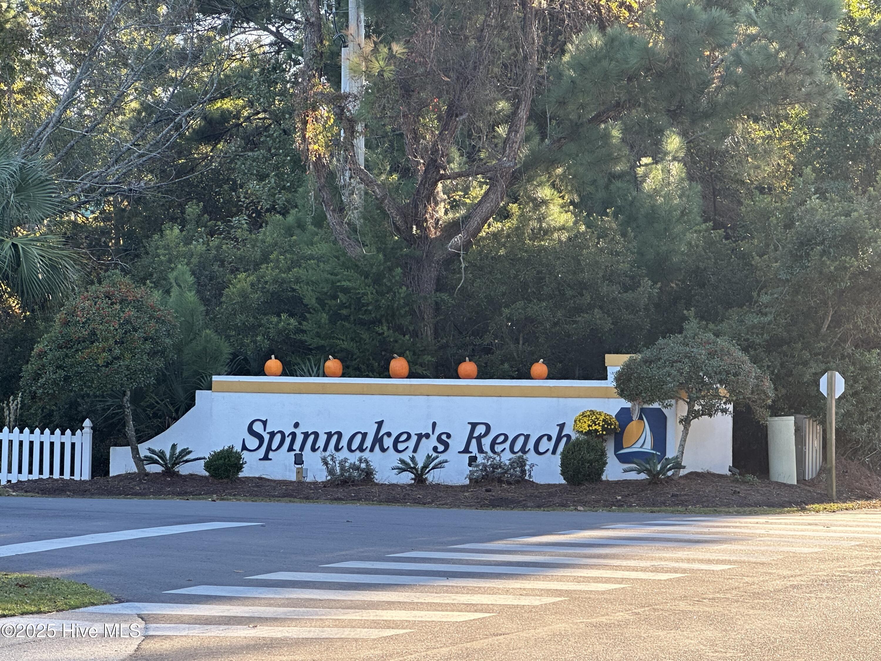 100541168 | Photo 47