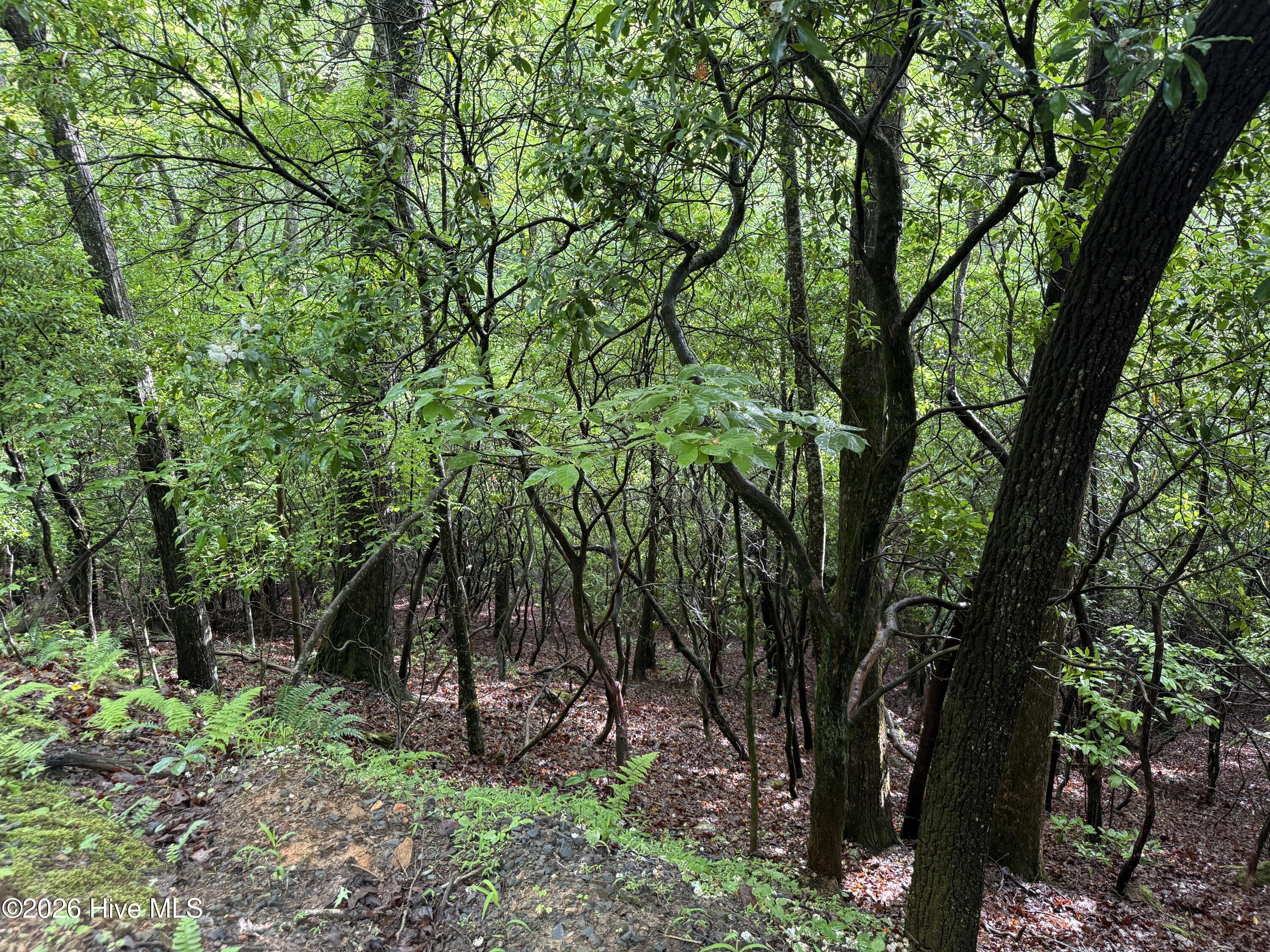 Exterior photo of Lot 28 Atoah Loop, Murphy, NC 28906. MLS: 100596451