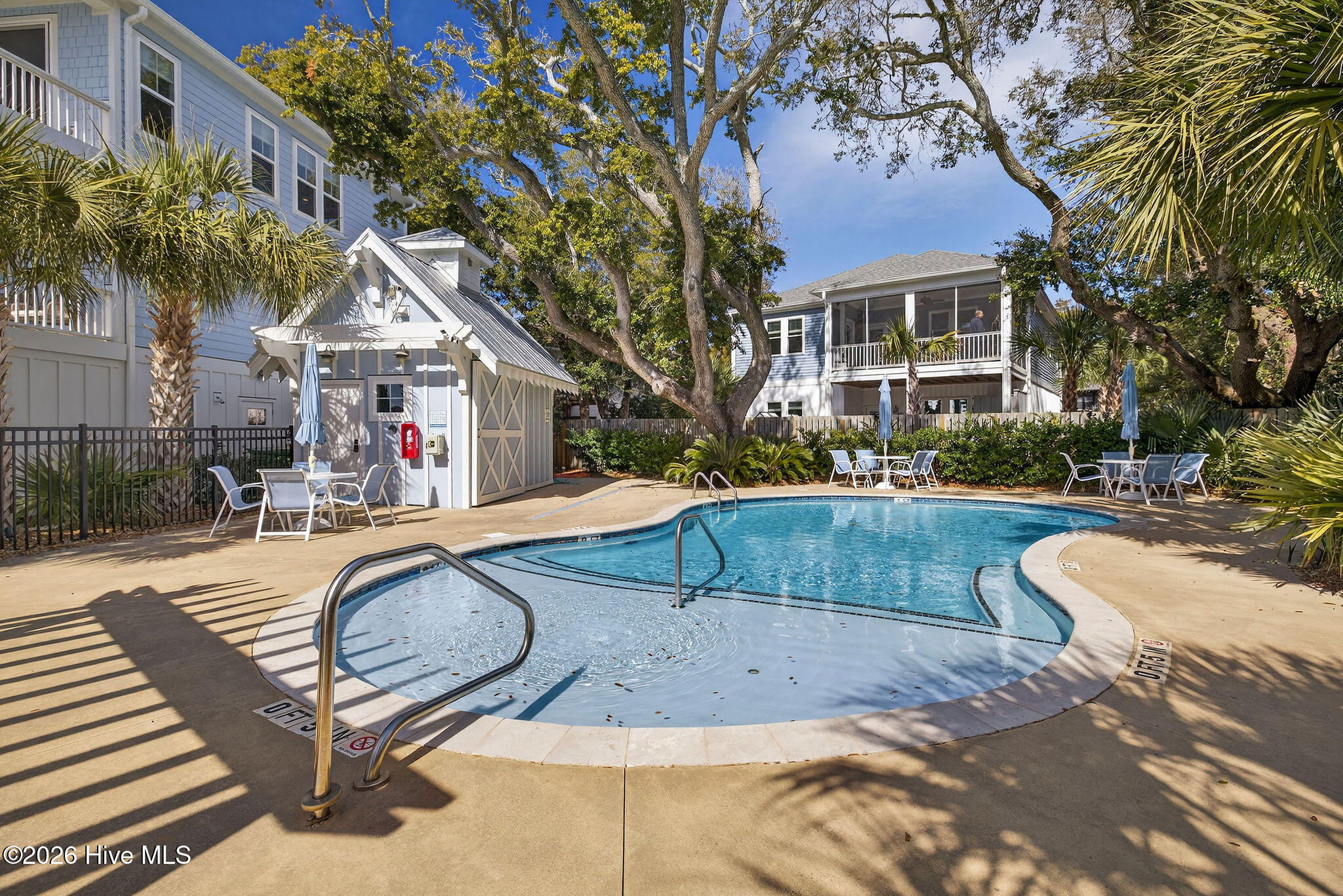 100555163 | Photo 53