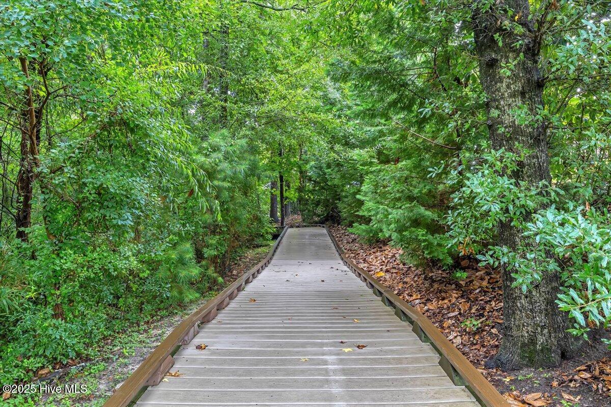 100523445 | Photo 76