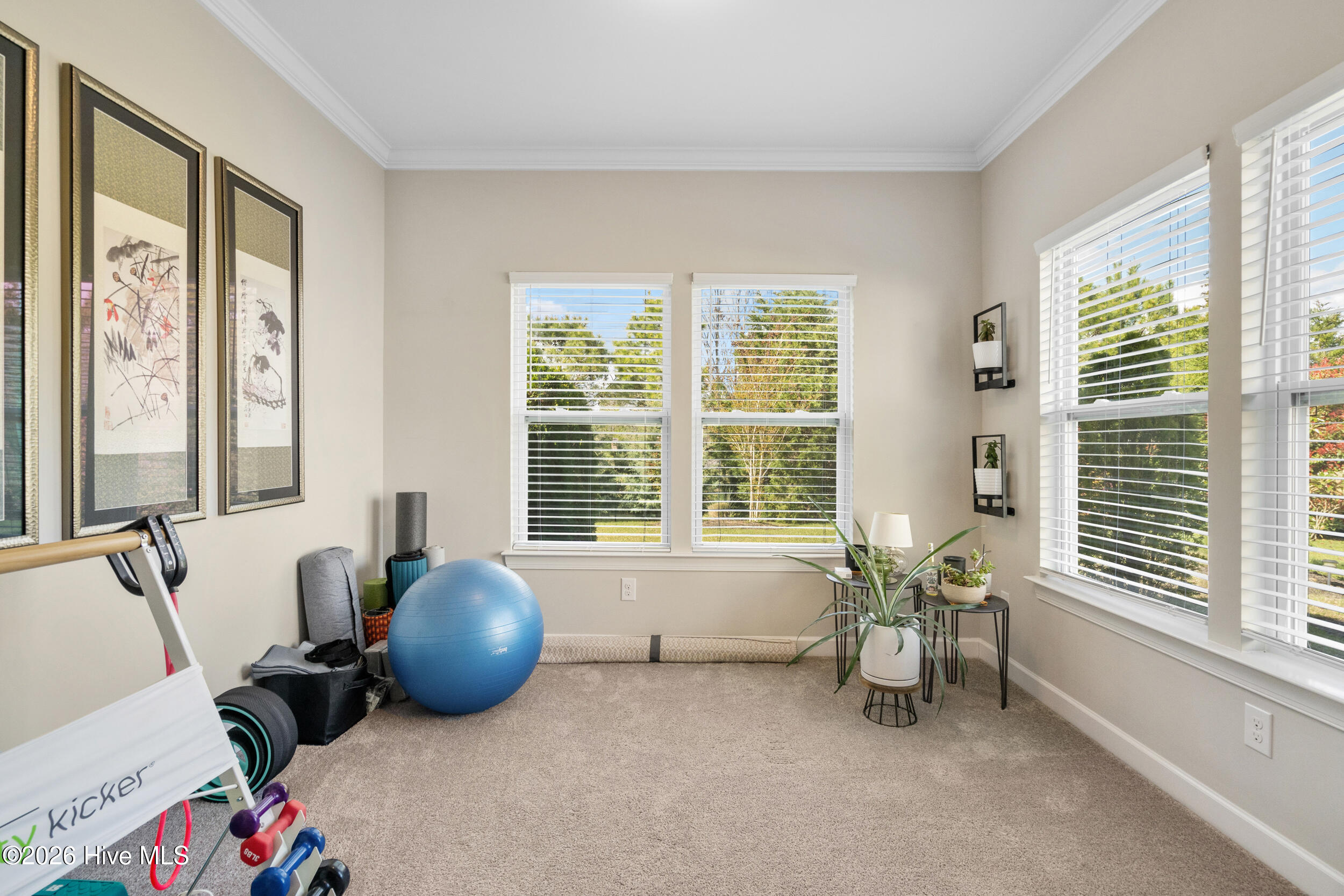 100563305 | Photo 21