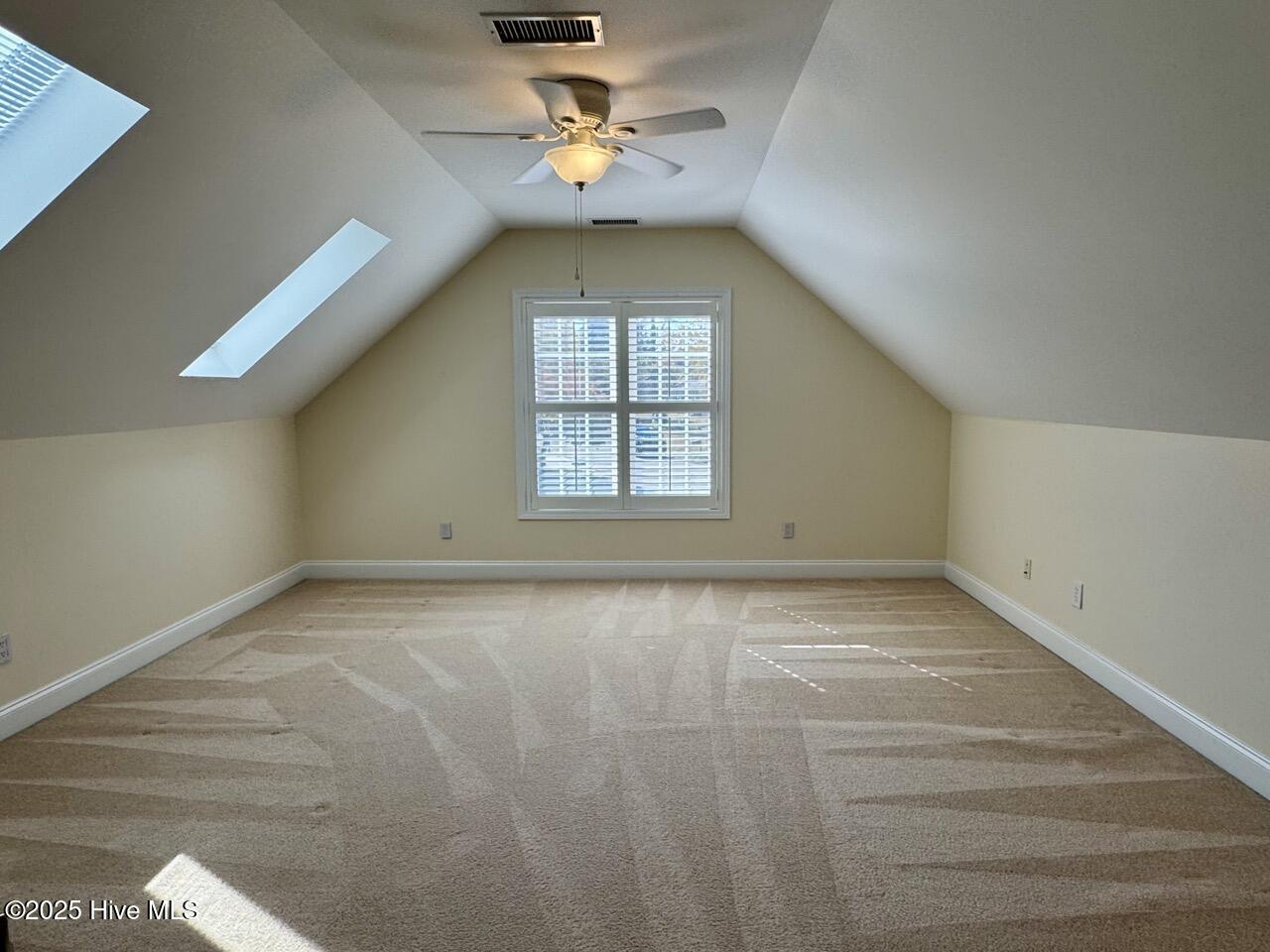 100540072 | Photo 13