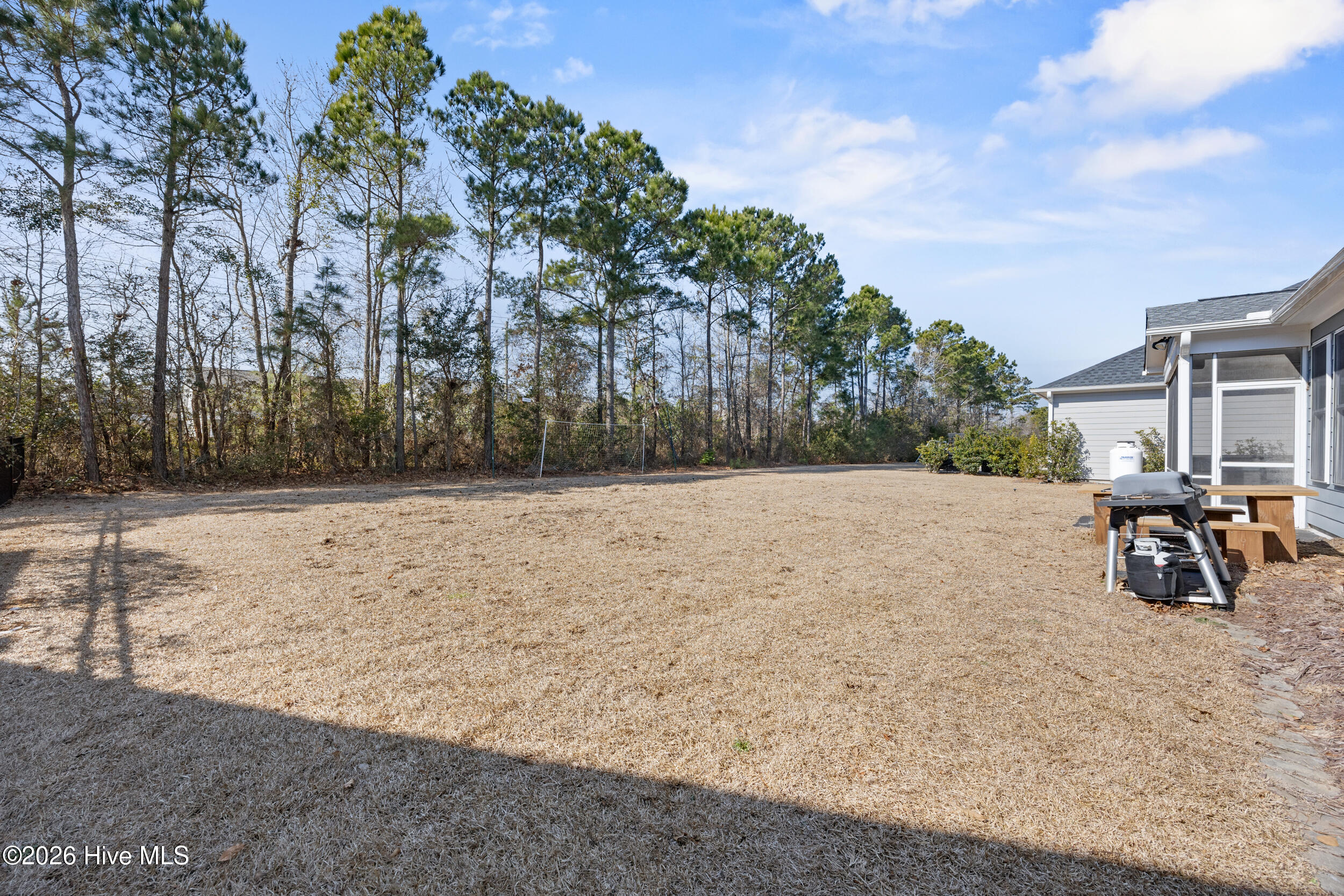 100554095 | Photo 45