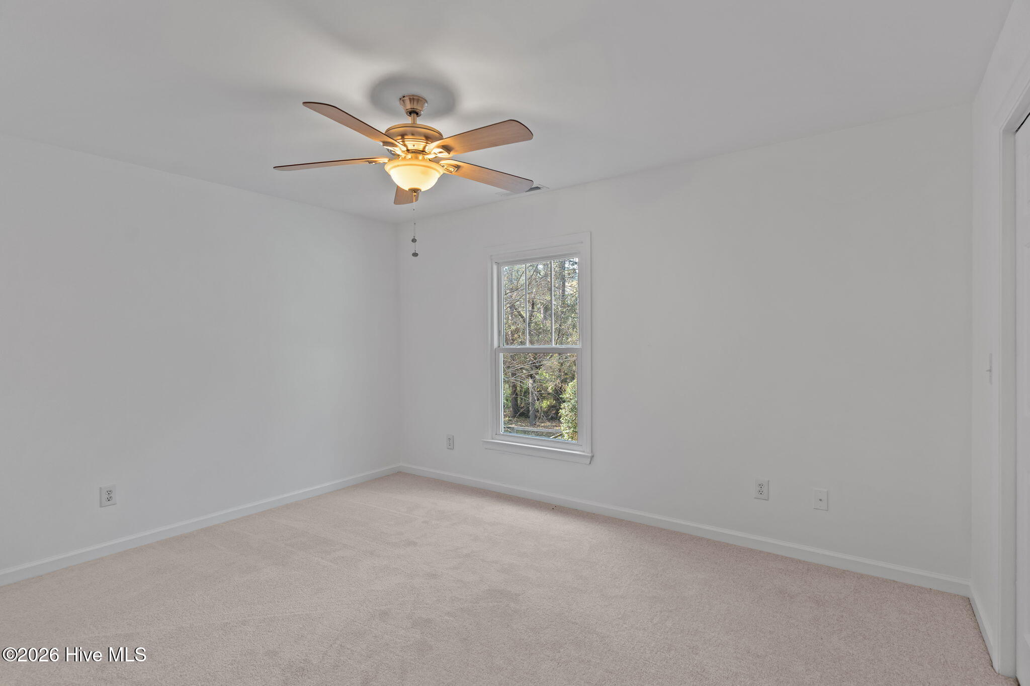 100562796 | Photo 31