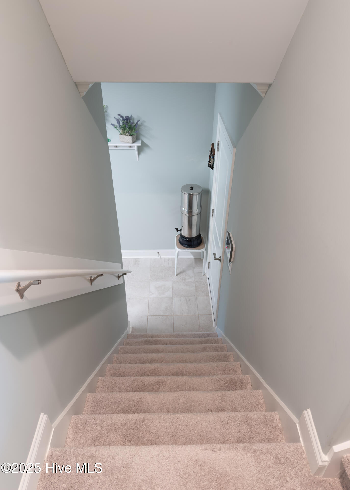 100541746 | Photo 45