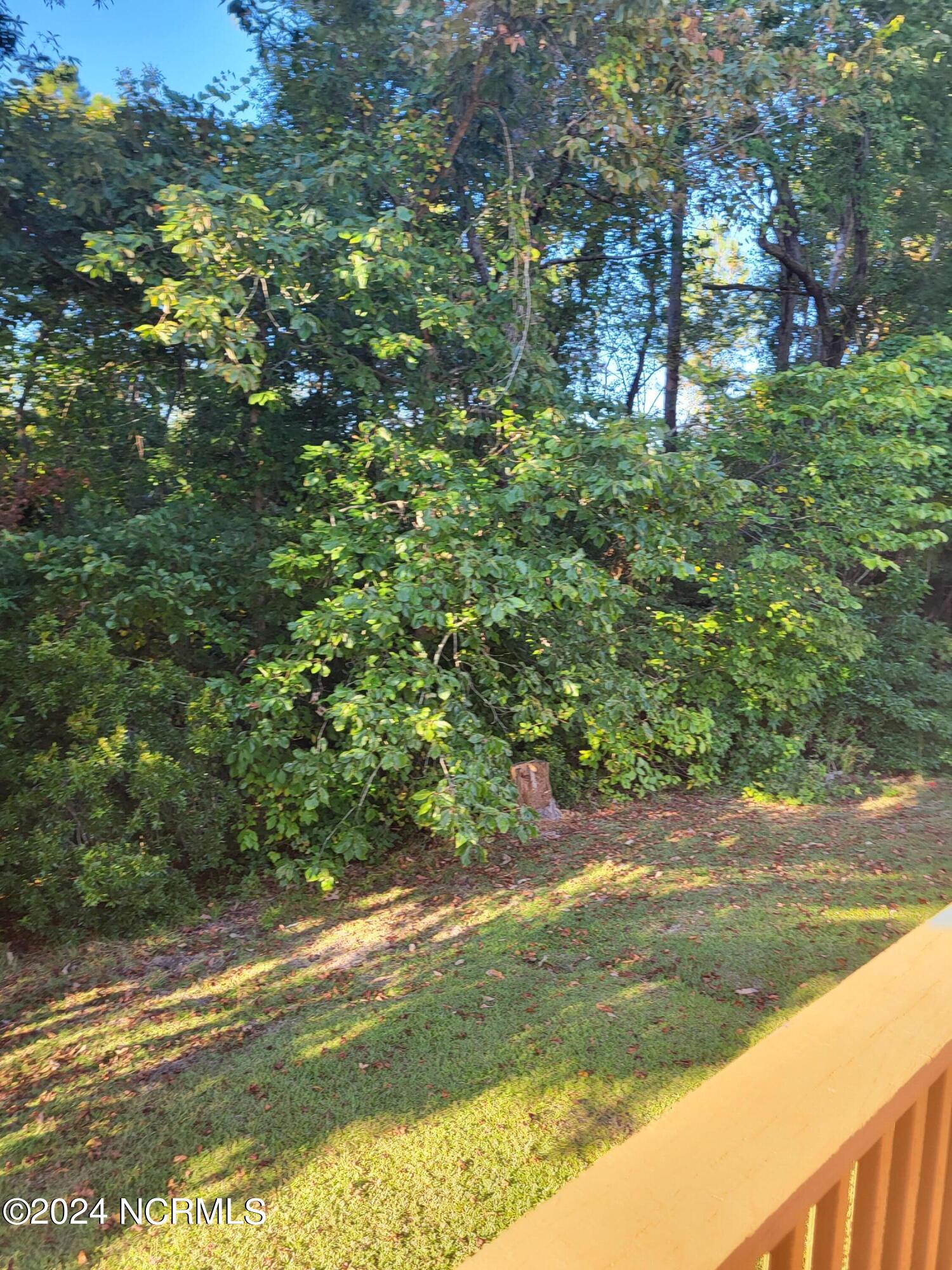 100568471 | Photo 31