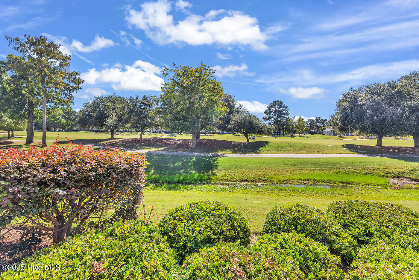 100537491 | Photo 24