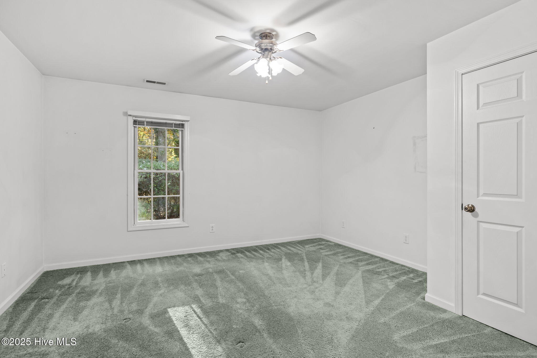 100540758 | Photo 19