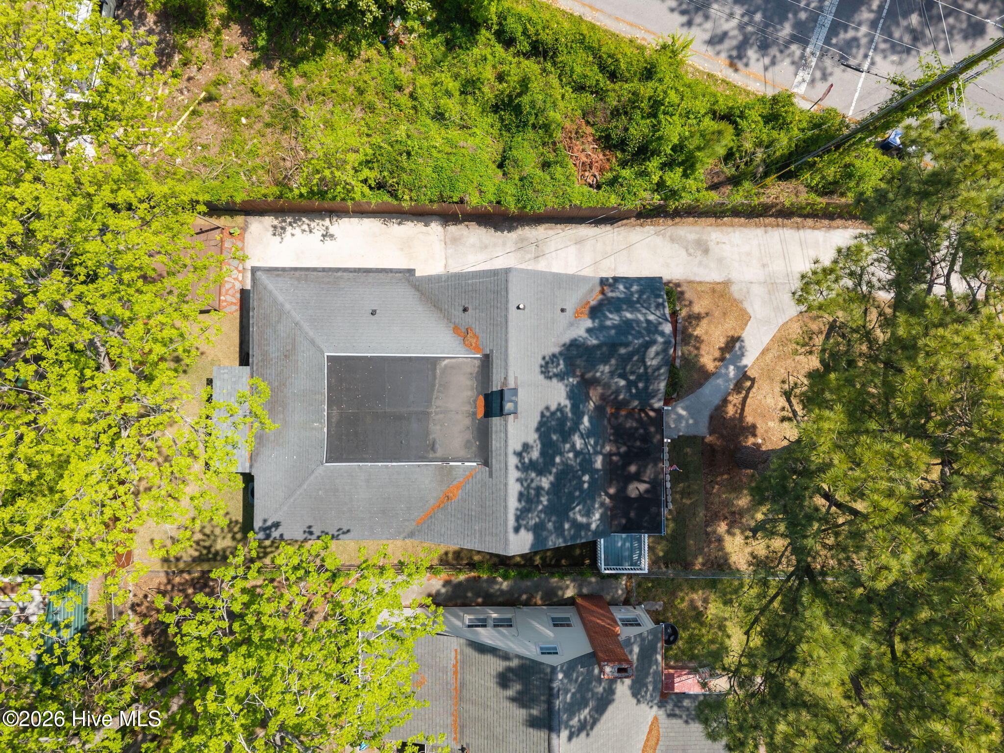 100568668 | Photo 51