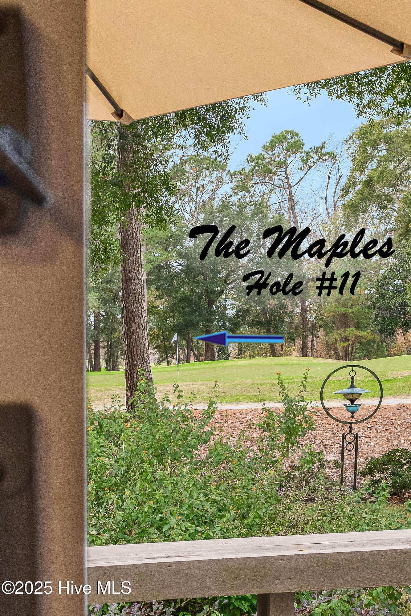 100545201 | Photo 14