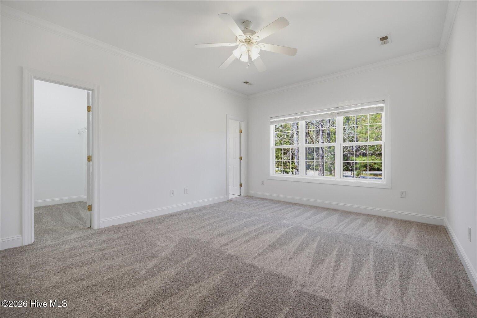 100564085 | Photo 25