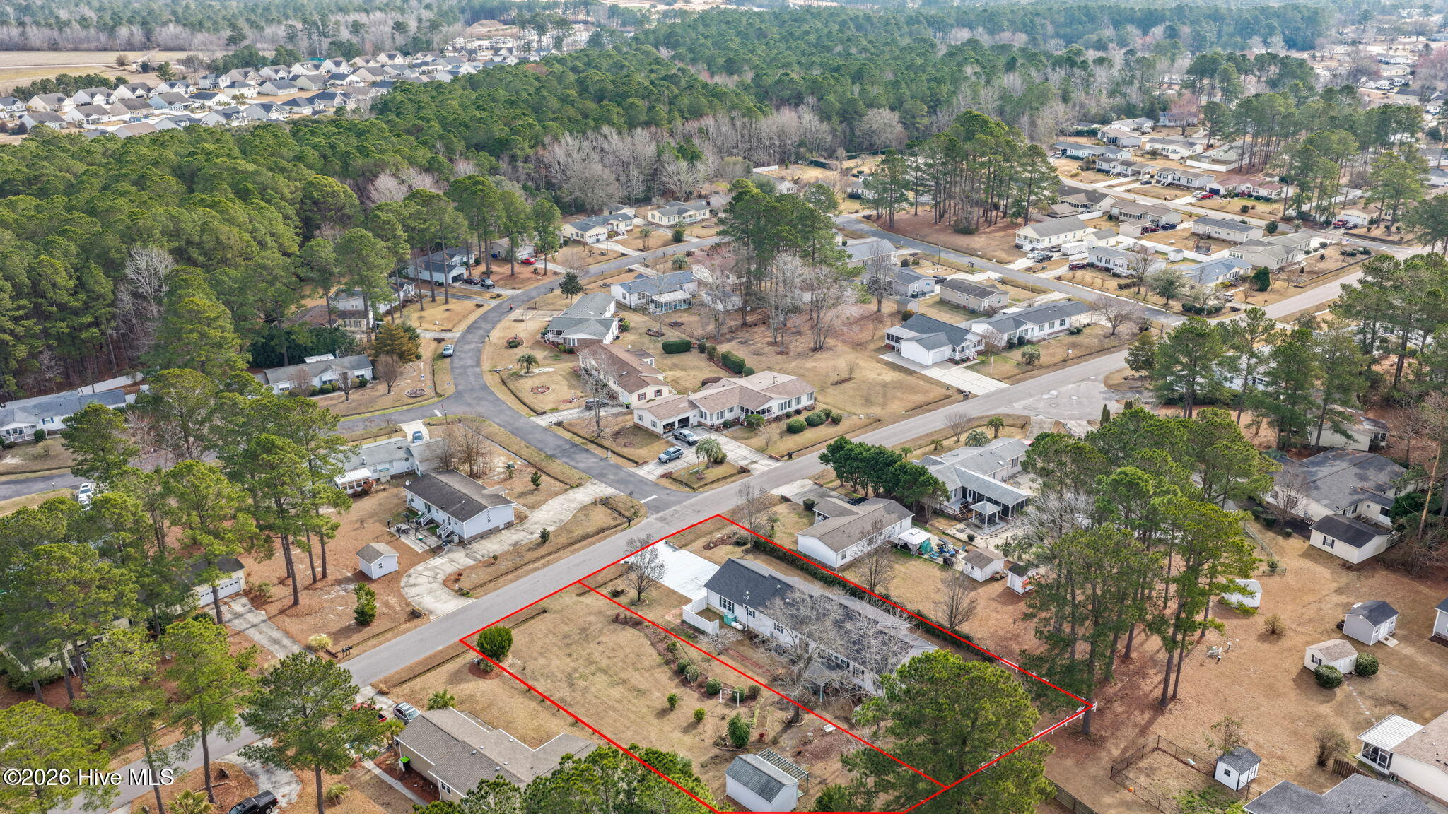 100555983 | Photo 48