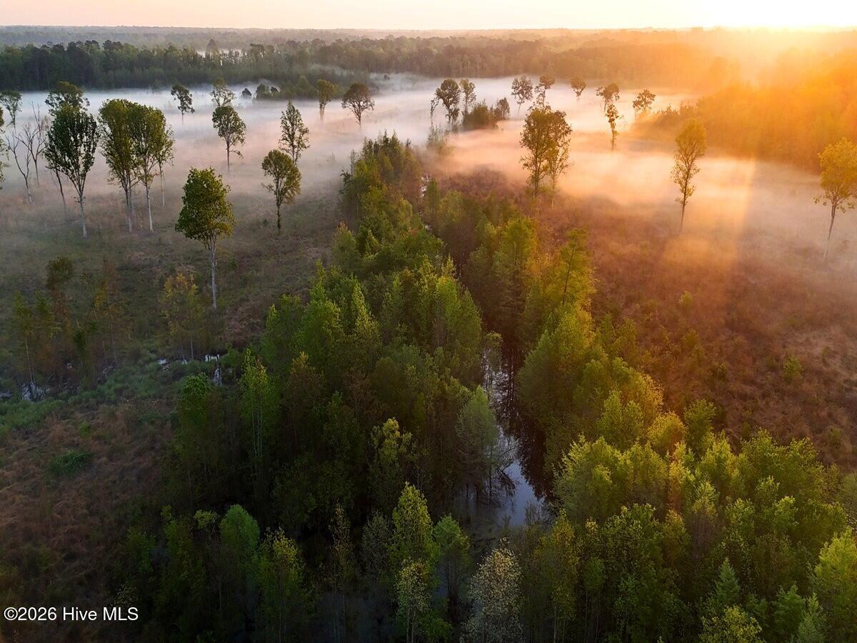 0 Durwood Evans Road, Beulaville, NC, 28518