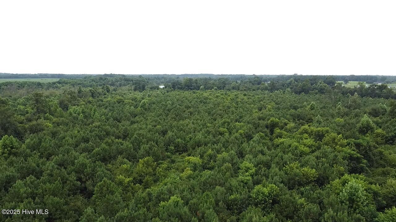 2025-08-05-11-26-58-113