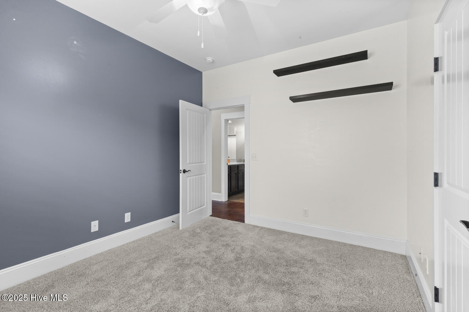 100507529 | Photo 25