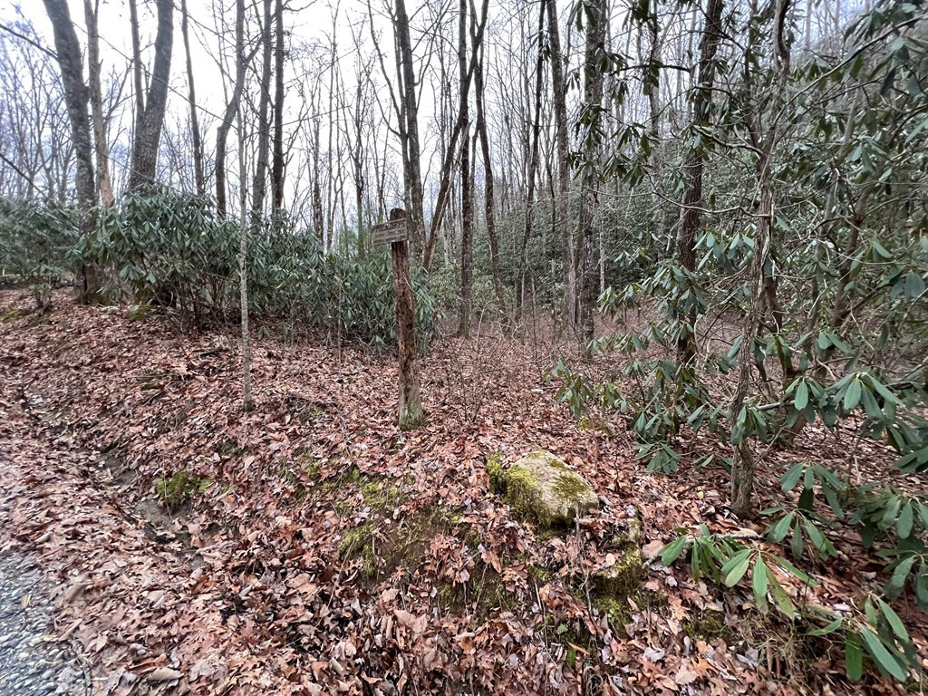Exterior photo of Lot 170 Granny Squirrel Drive, Andrews, NC 28901. MLS: 98544040